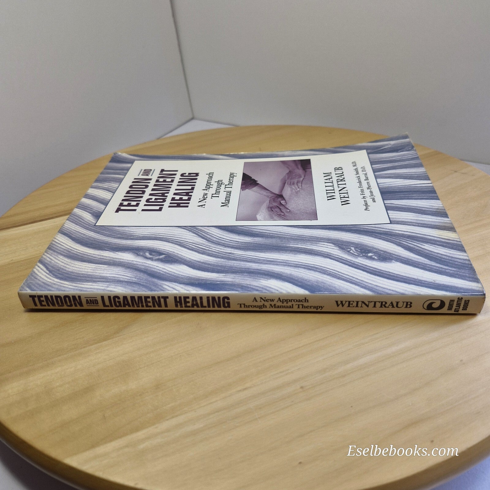 Tendon and Ligament Healing A New Approach Through Manual Therapy By William ...