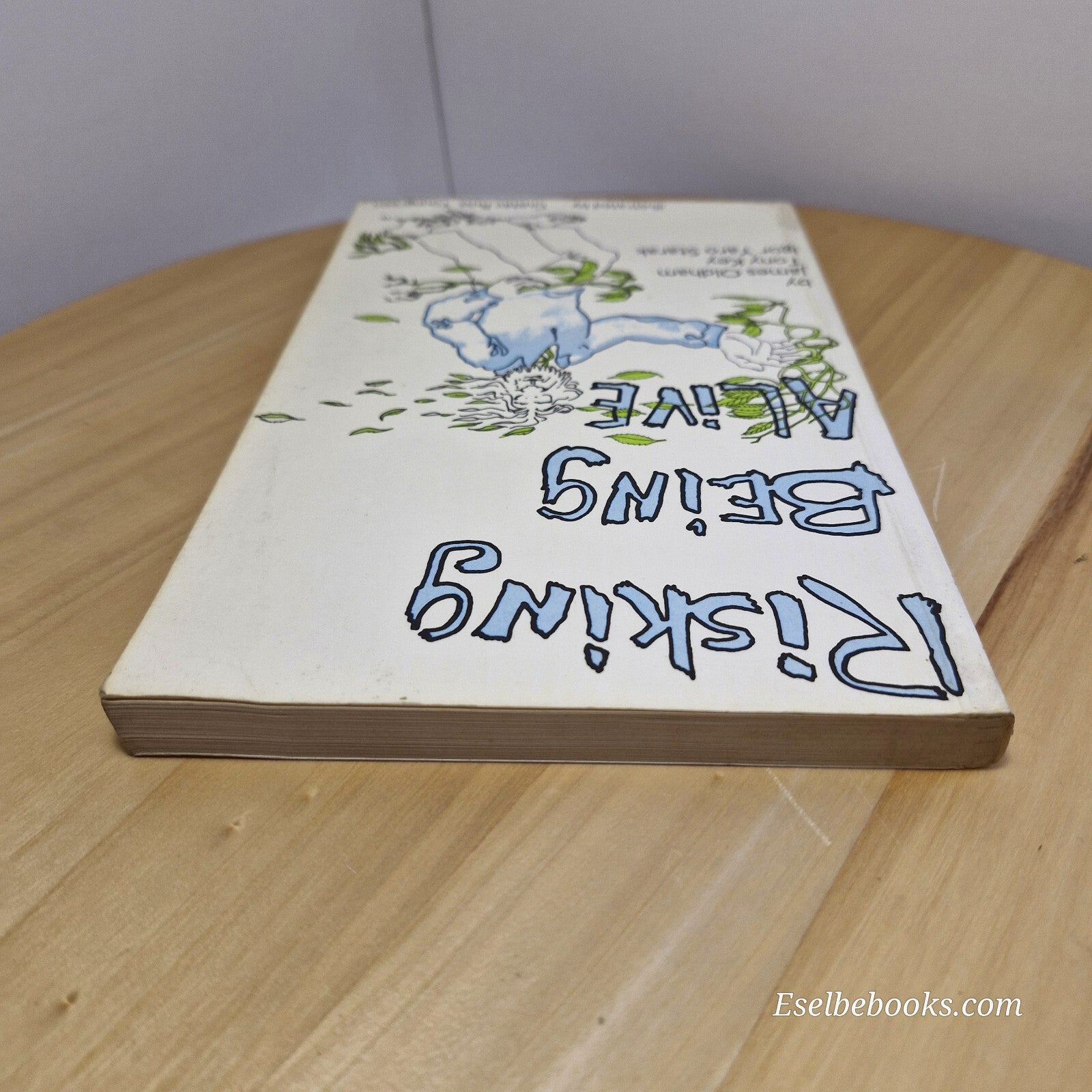 Risking Being Alive The Wisdom of Now By James Oldham, Igor Yaro Starak, Tony...