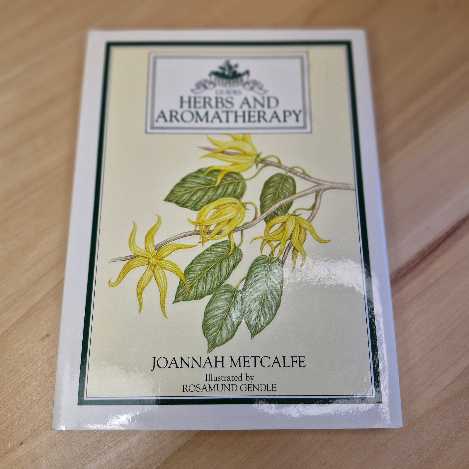 Health: Herbs and Aromatherapy By Joannah Metcalfe · 1993 - vintage hardback ...
