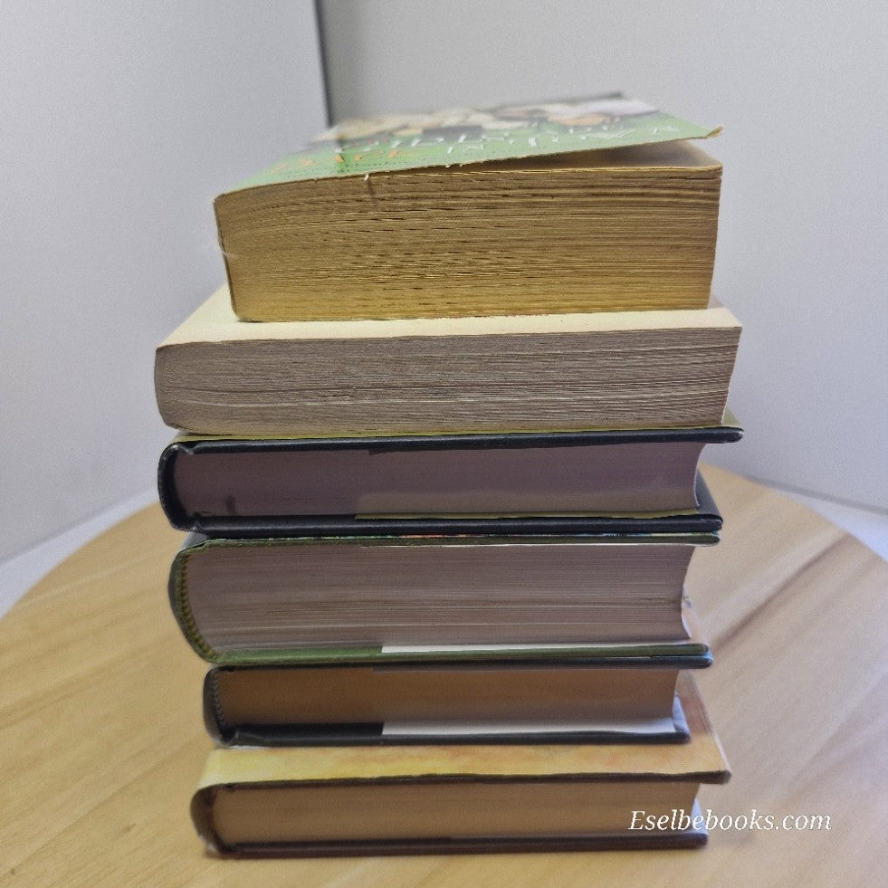 6 x book bundle women's/general fiction - paperbacks/hardbacks