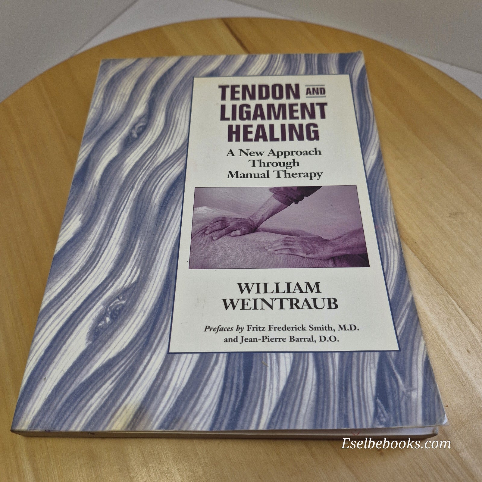 Tendon and Ligament Healing A New Approach Through Manual Therapy By William ...