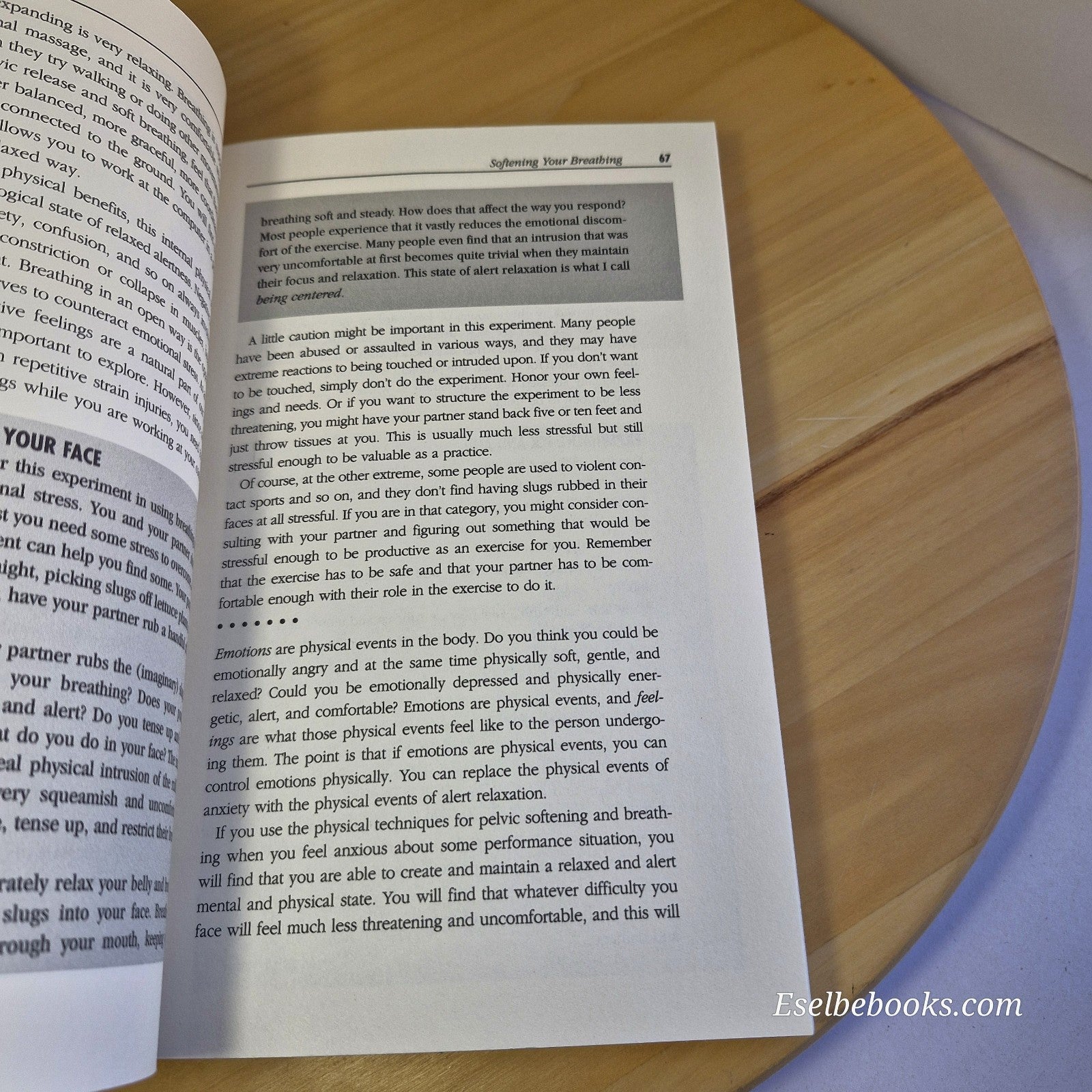 Comfort at Your Computer: Body awareness training by Paul Linden - paperback