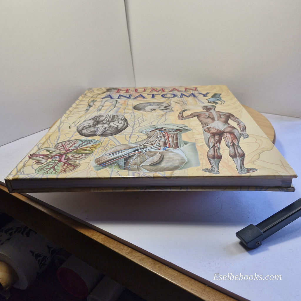 Human Anatomy By Giovanni Iazzetti · 2006 - large hardback