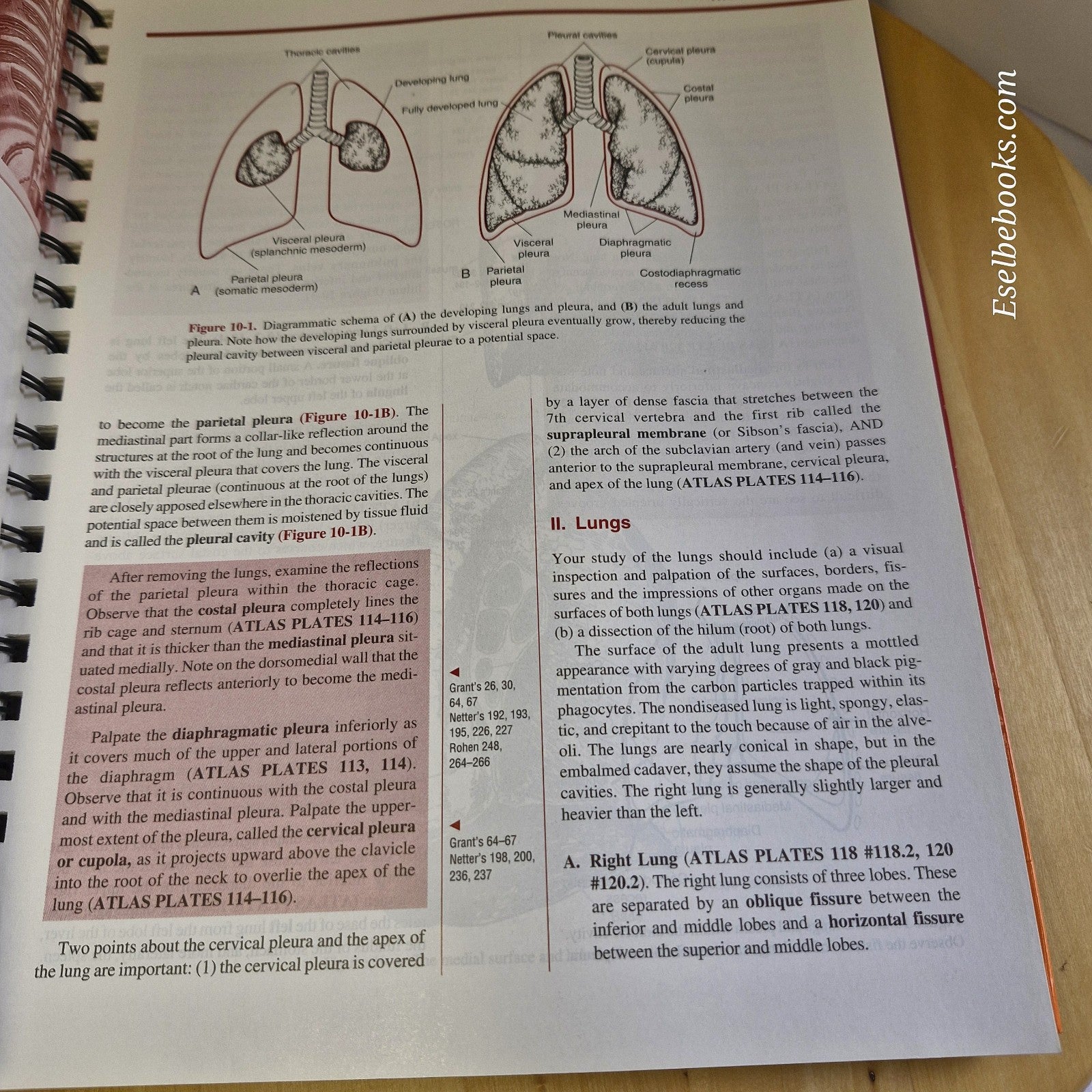 Clemente's Anatomy Dissector By Carmine D. Clemente 2nd ed