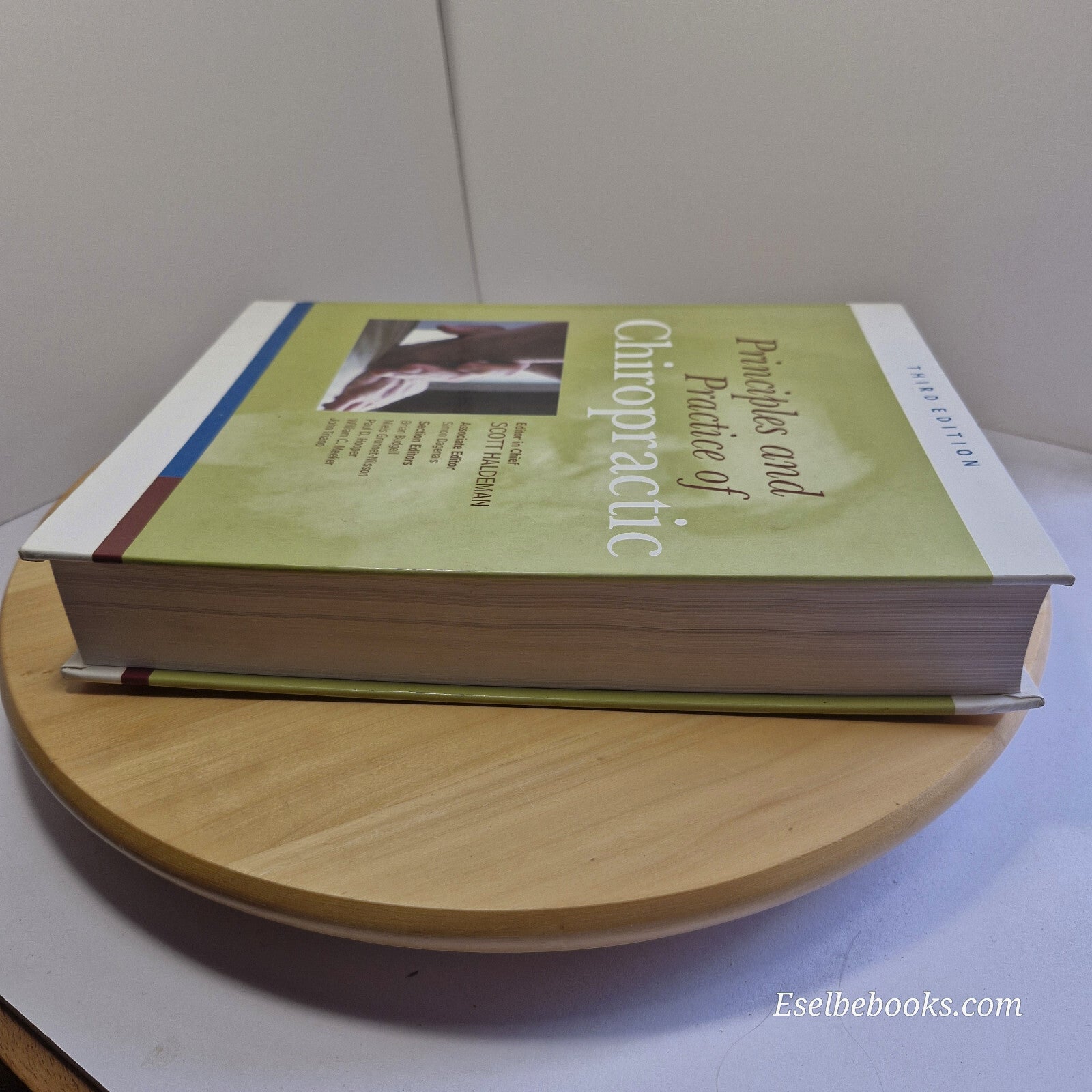 Principles and Practice of Chiropractic, Third Edition 2005 - hardback
