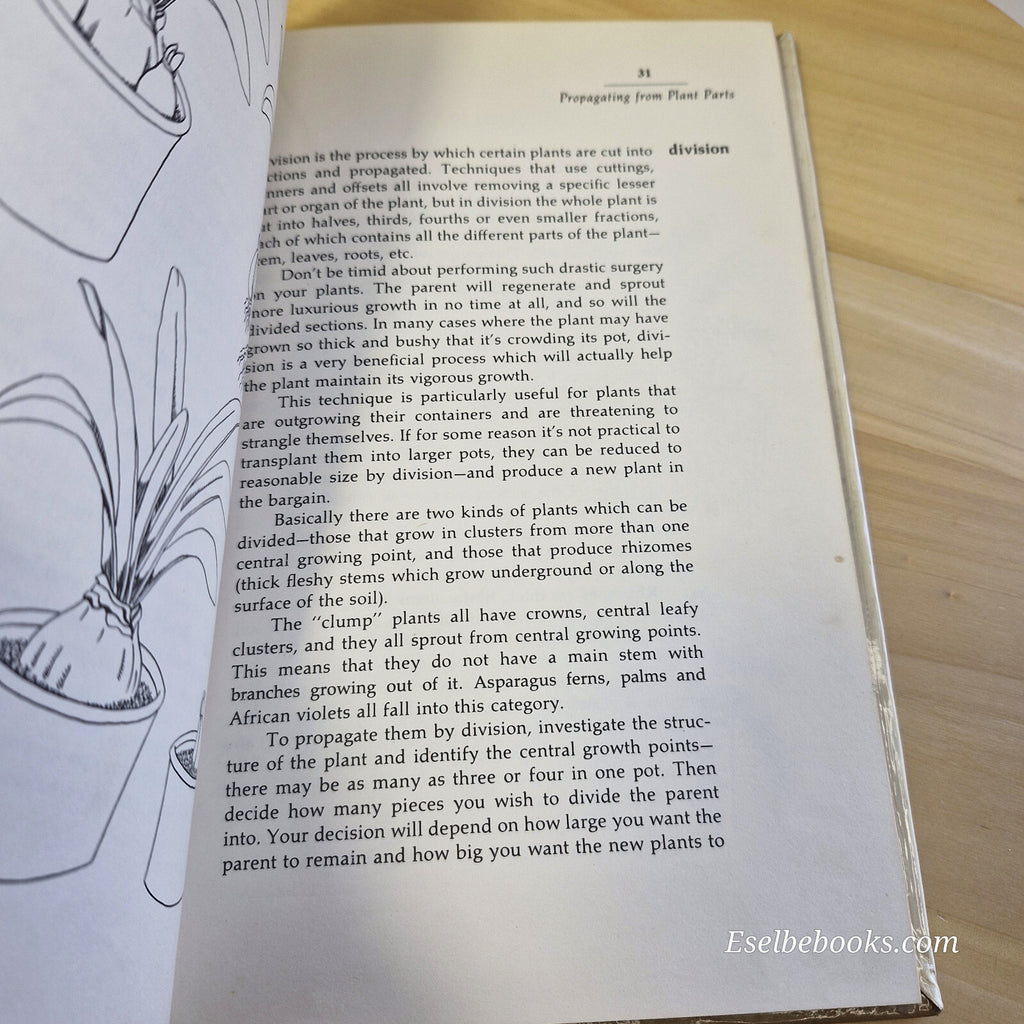 New Plants from Old Pruning and Propagating for the Indoor Gardener By Charle...