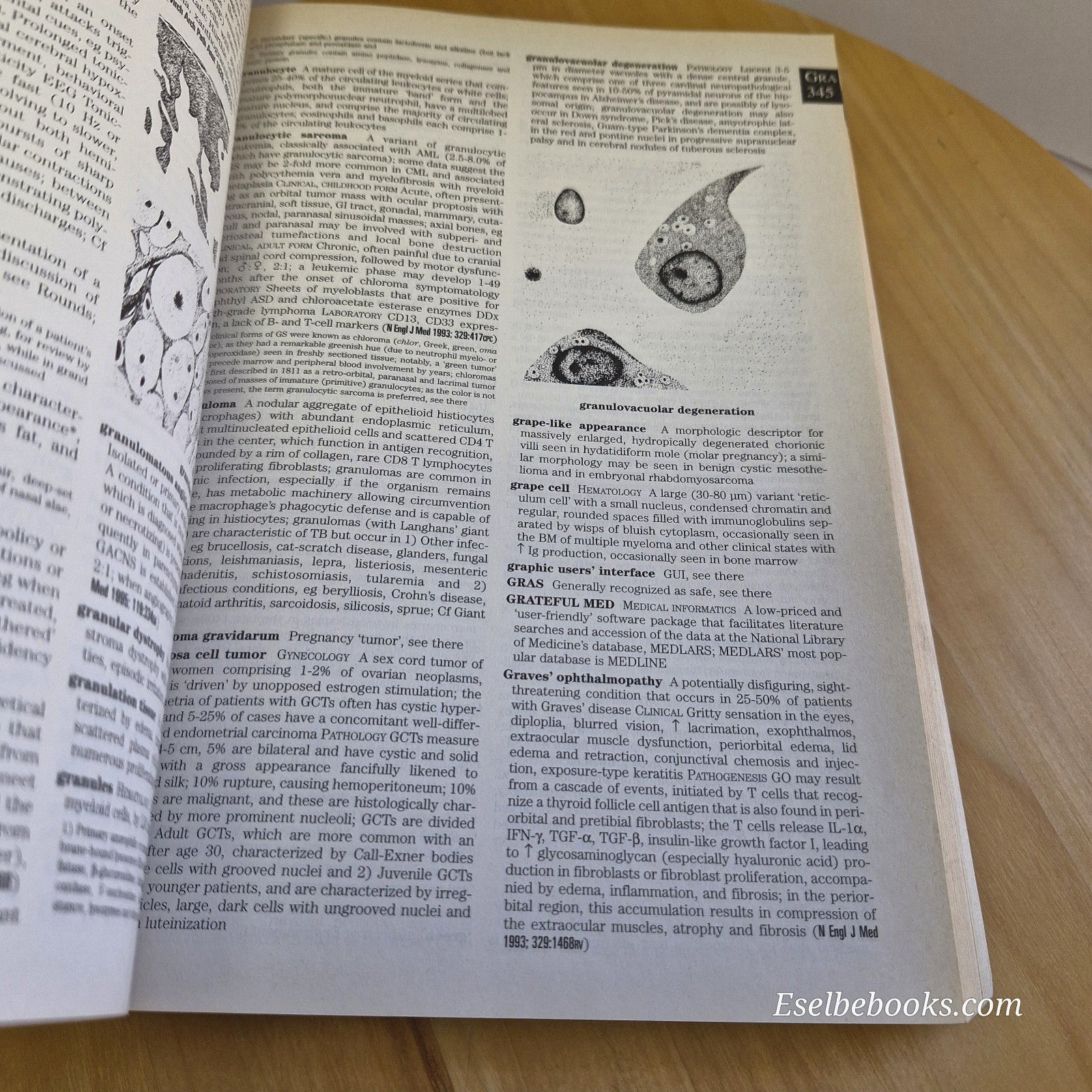 Current Med Talk A Dictionary of Medical Terms, Slang & Jargon By J. C. Segen