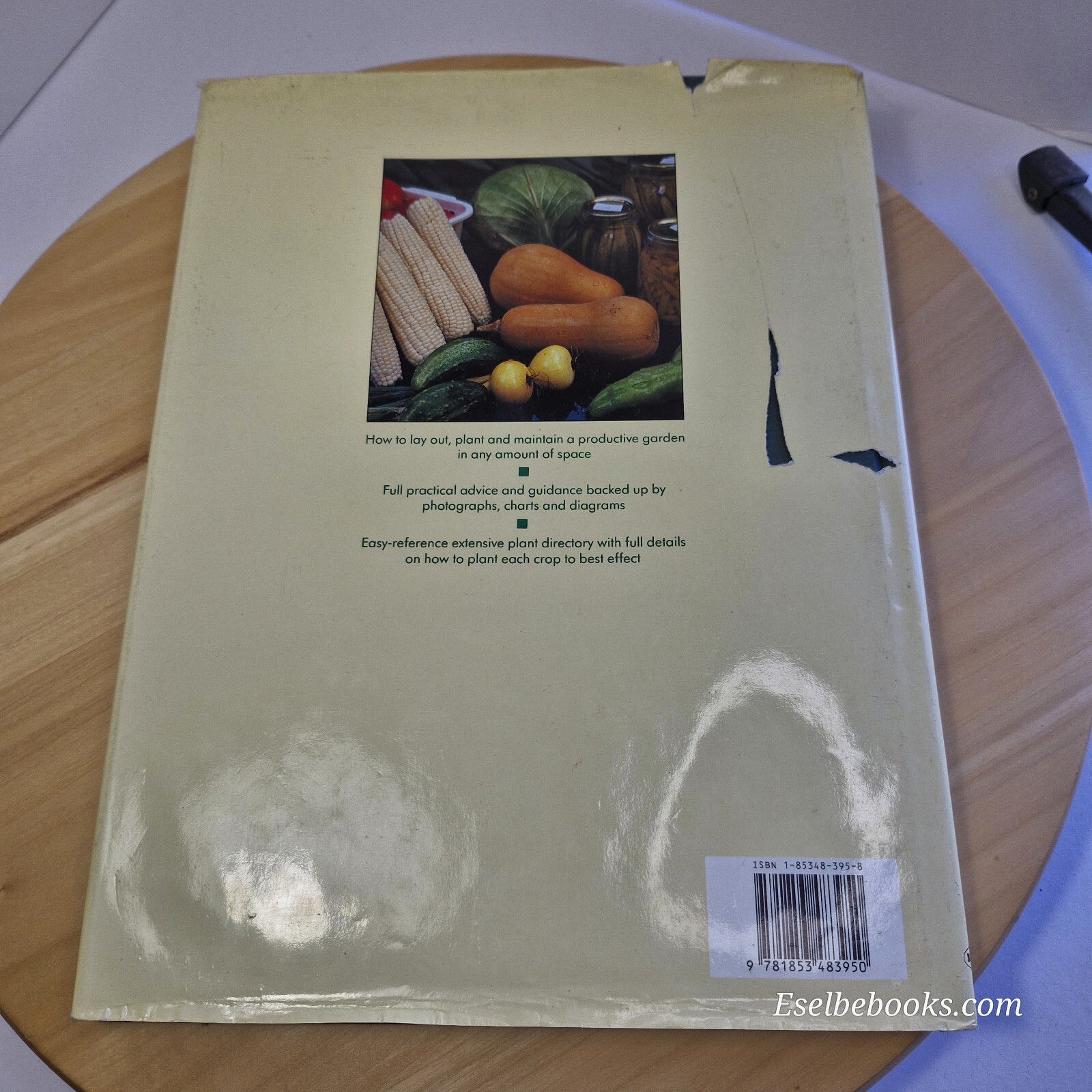 Gardening in Small Spaces By Marcus Schneck · 1992 - large hardback with dust...