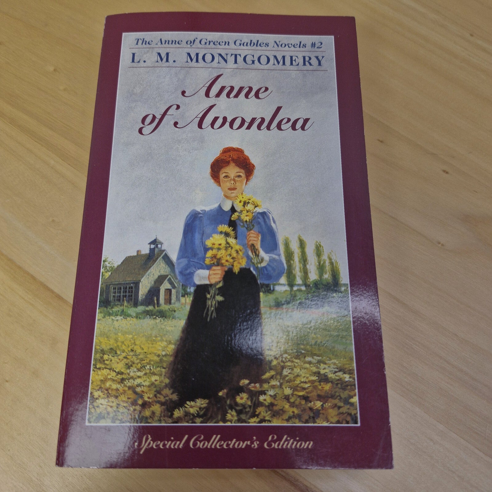 Classic children's fiction: Anne of Avonlea by L M Montgomery - paperback
