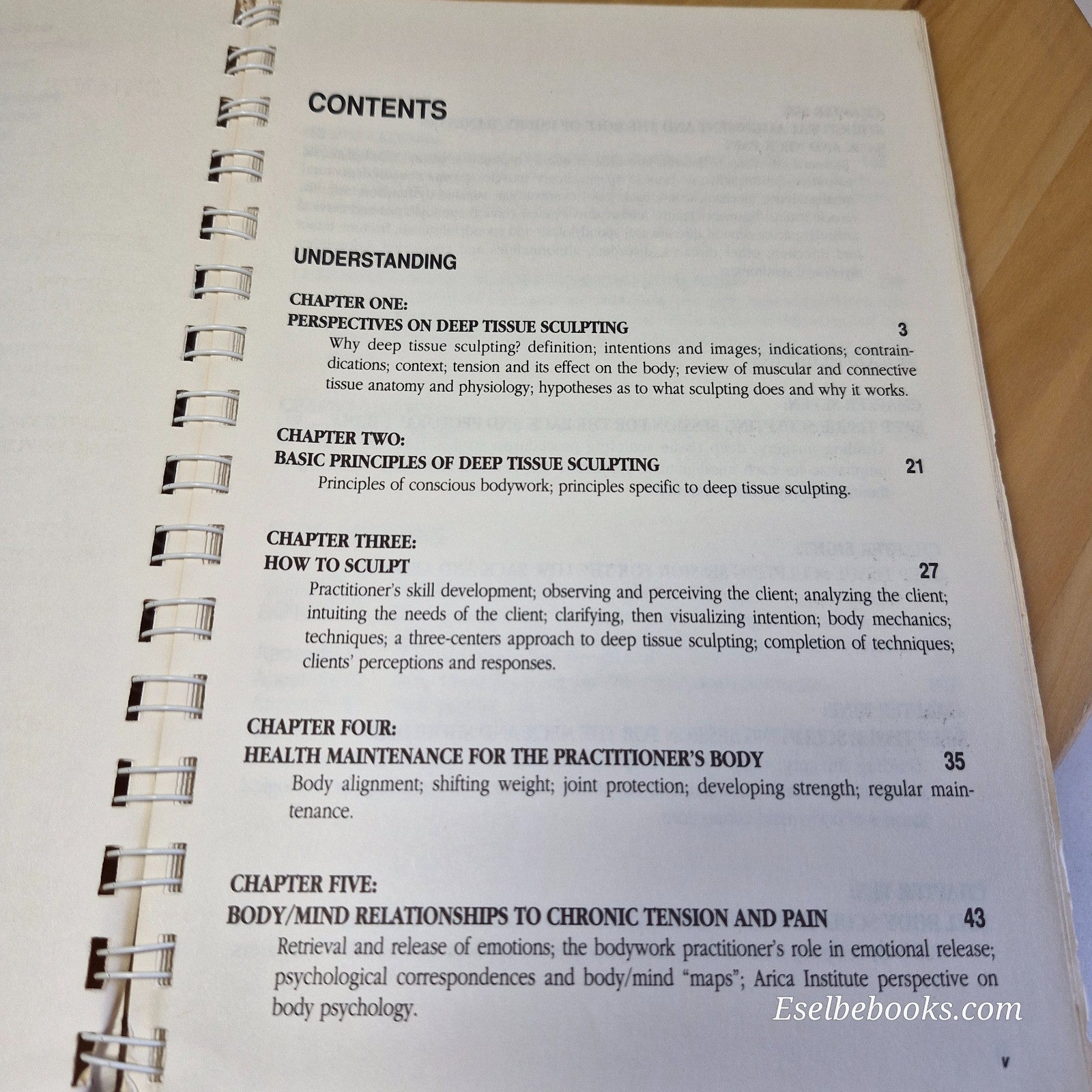 Deep Tissue Sculpting A Technical and Artistic Manual for Therapeutic Bodywork