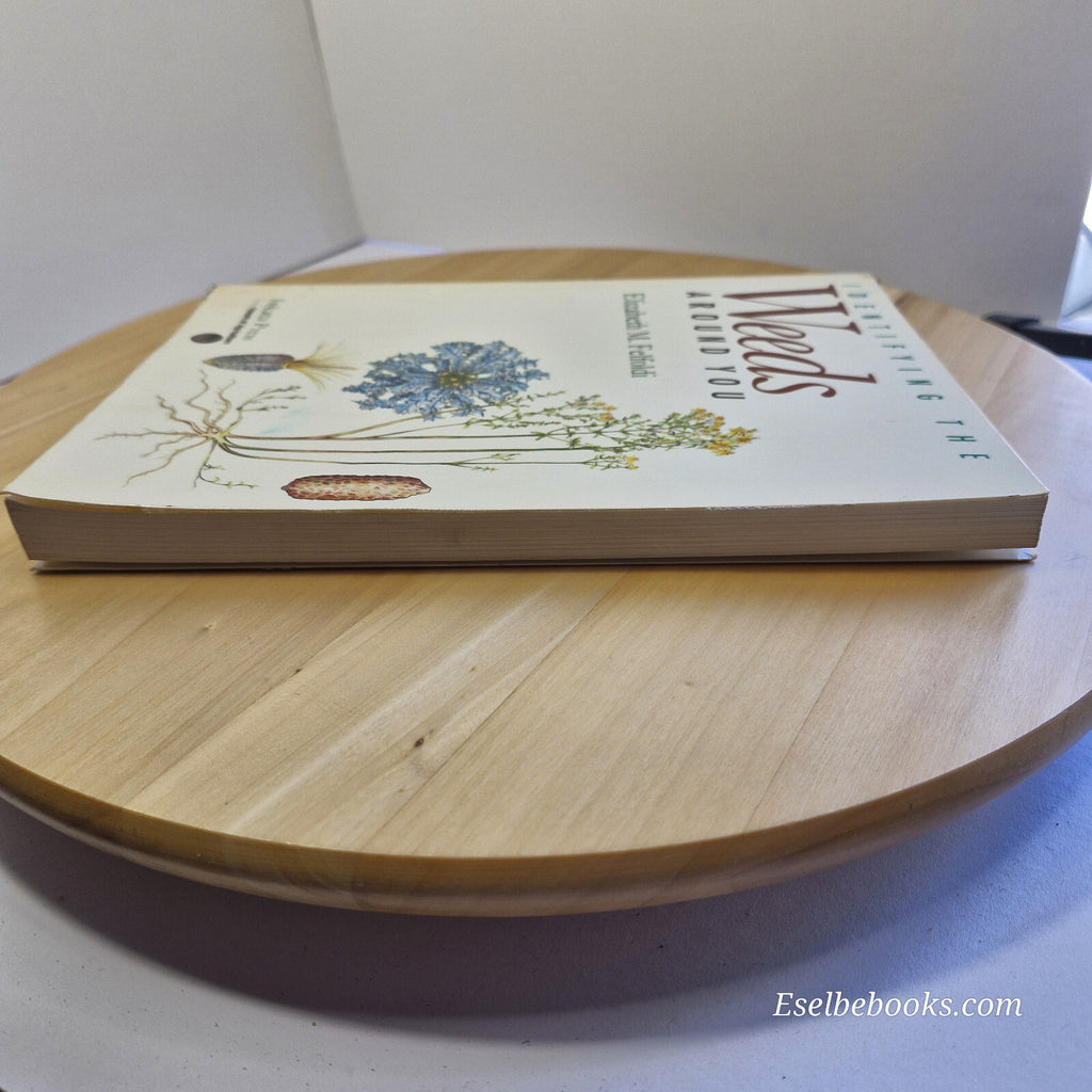 Identifying the Weeds Around You By Elizabeth Maria Felfoldi · 1993 - paperback