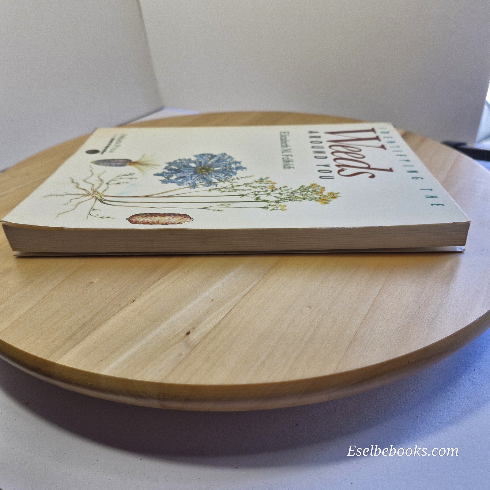 Identifying the Weeds Around You By Elizabeth Maria Felfoldi · 1993 - paperback