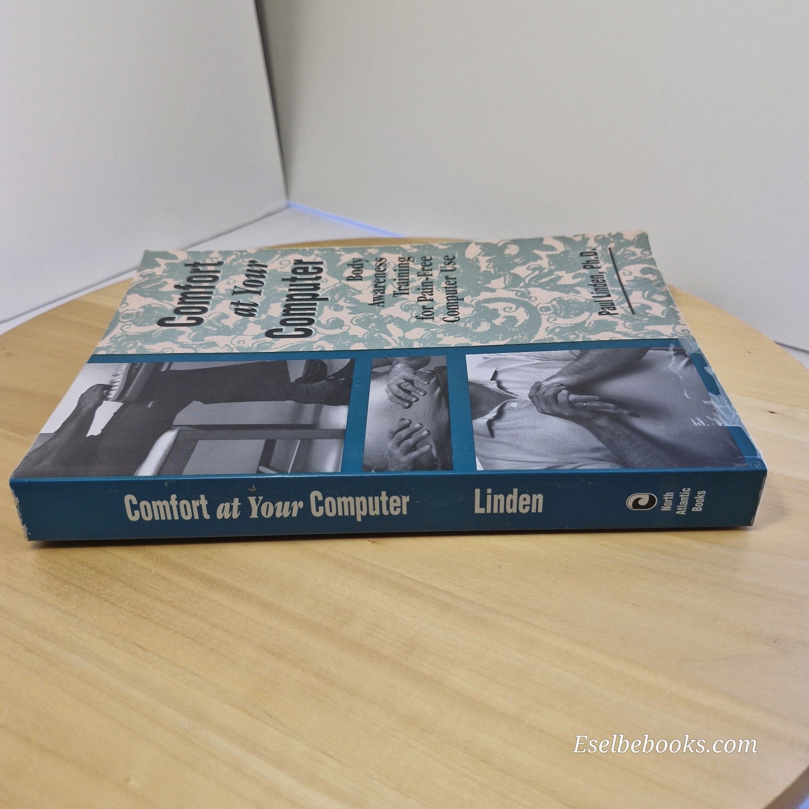 Comfort at Your Computer: Body awareness training by Paul Linden - paperback