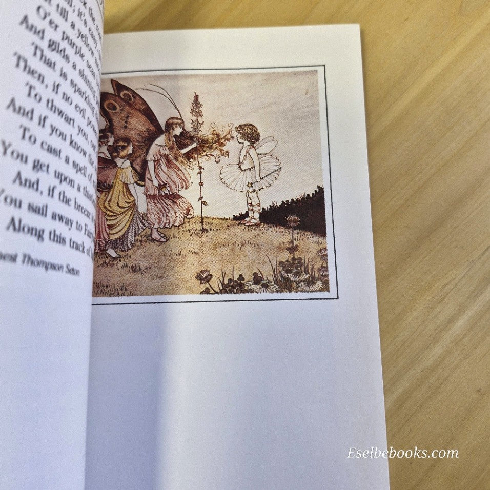 The Little World of ELVES & FAIRIES by Ida Rentoul Outhwaite small PB 1985