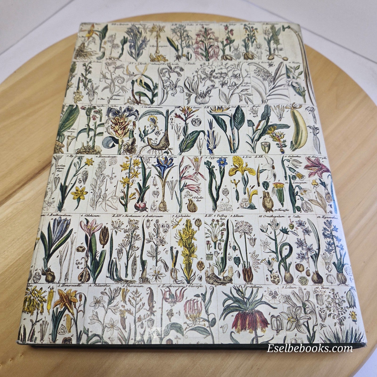 Healing Plants A Modern Herbal Health ed. William A R Thomson - vintage hardback