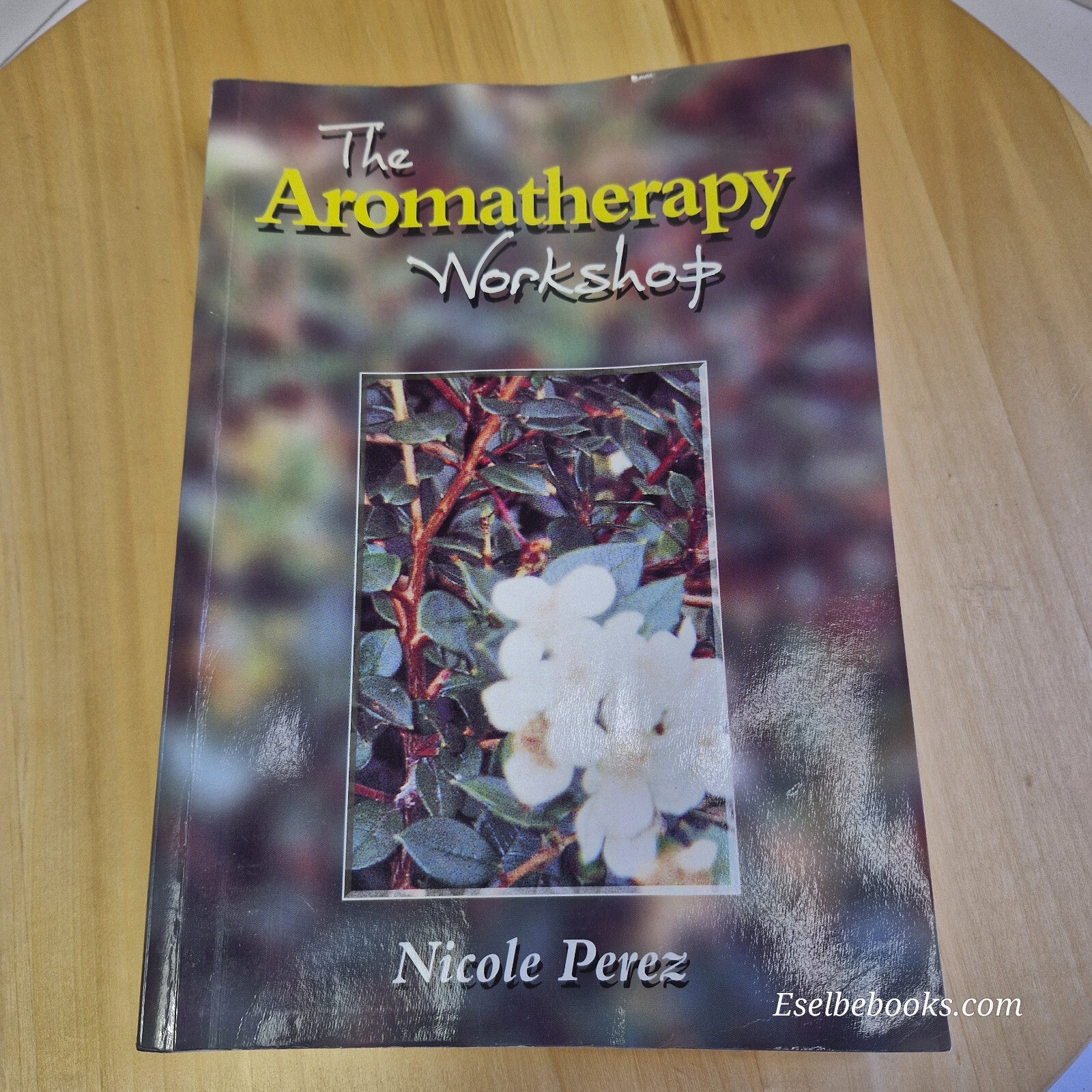 Health:  The Aromatherapy Workshop Book by Nicole Perez - paperback