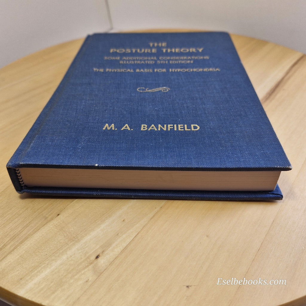 The Posture Theory Some Additional Considerations By M. A. Banfield · 1994 - ...