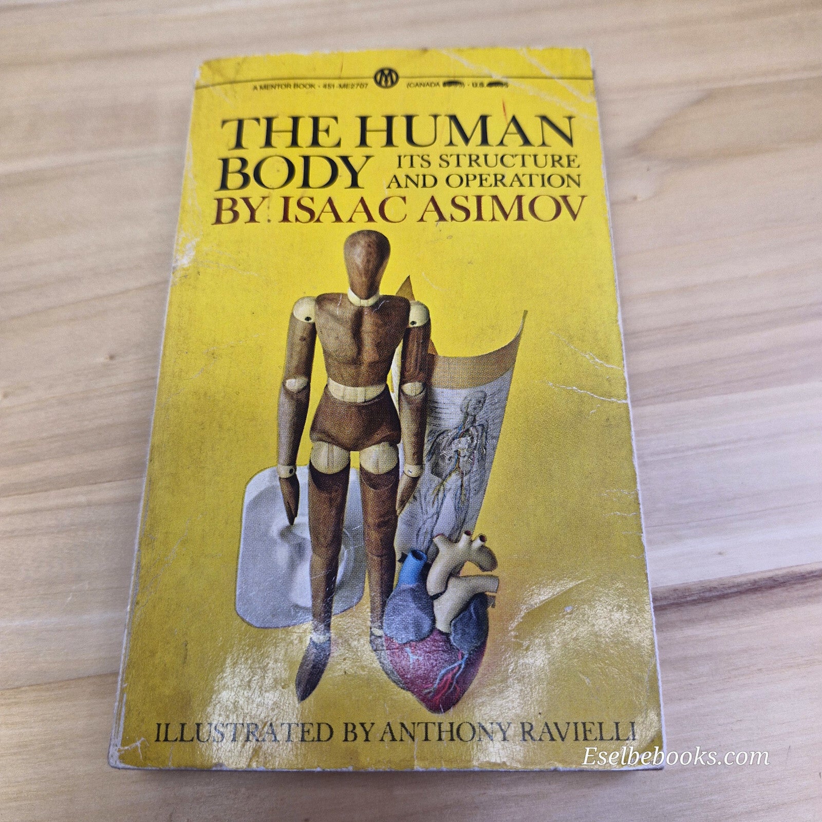 The Human Body Its Structure and Operations By Isaac Asimov, Anthony Ravielli...