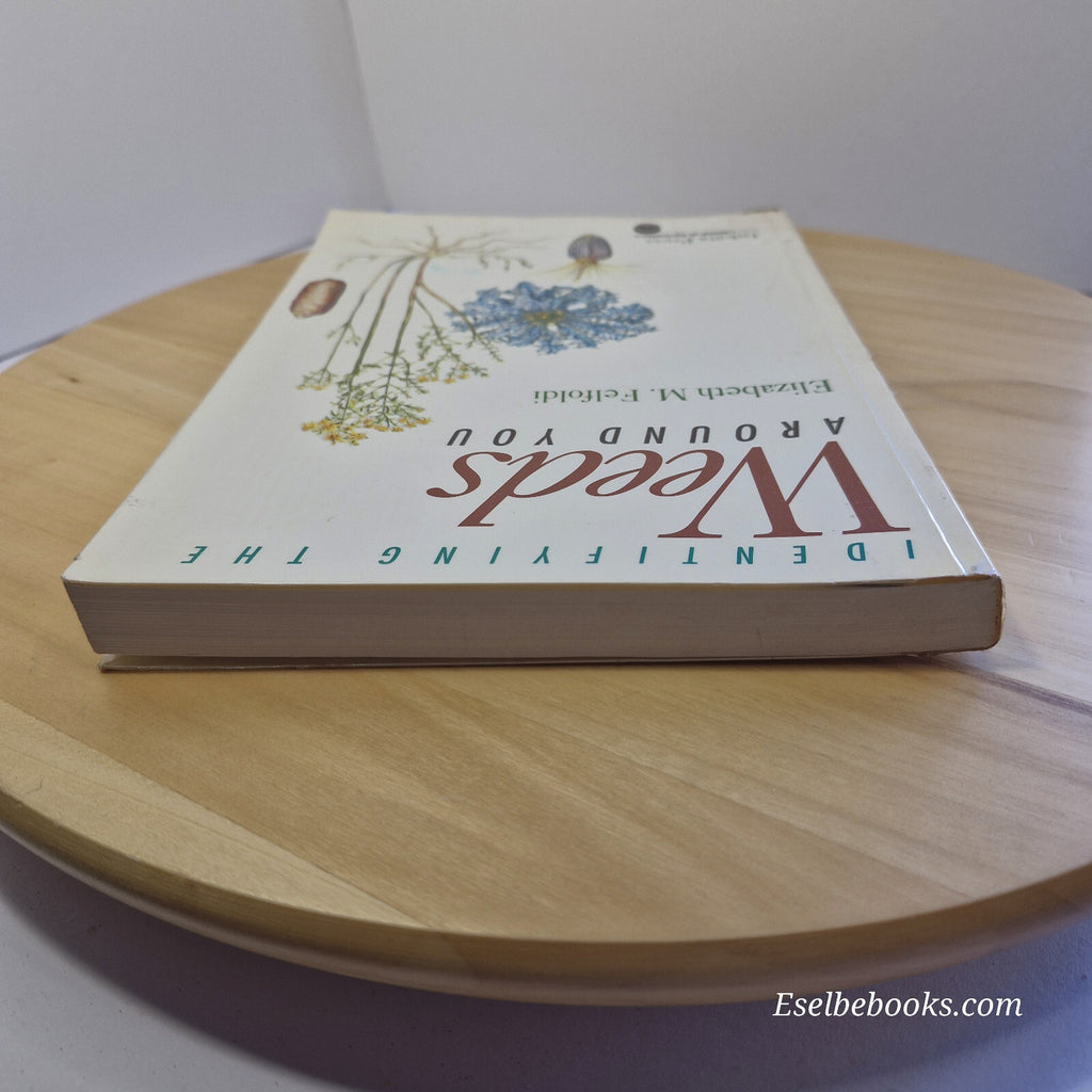 Identifying the Weeds Around You By Elizabeth Maria Felfoldi · 1993 - paperback