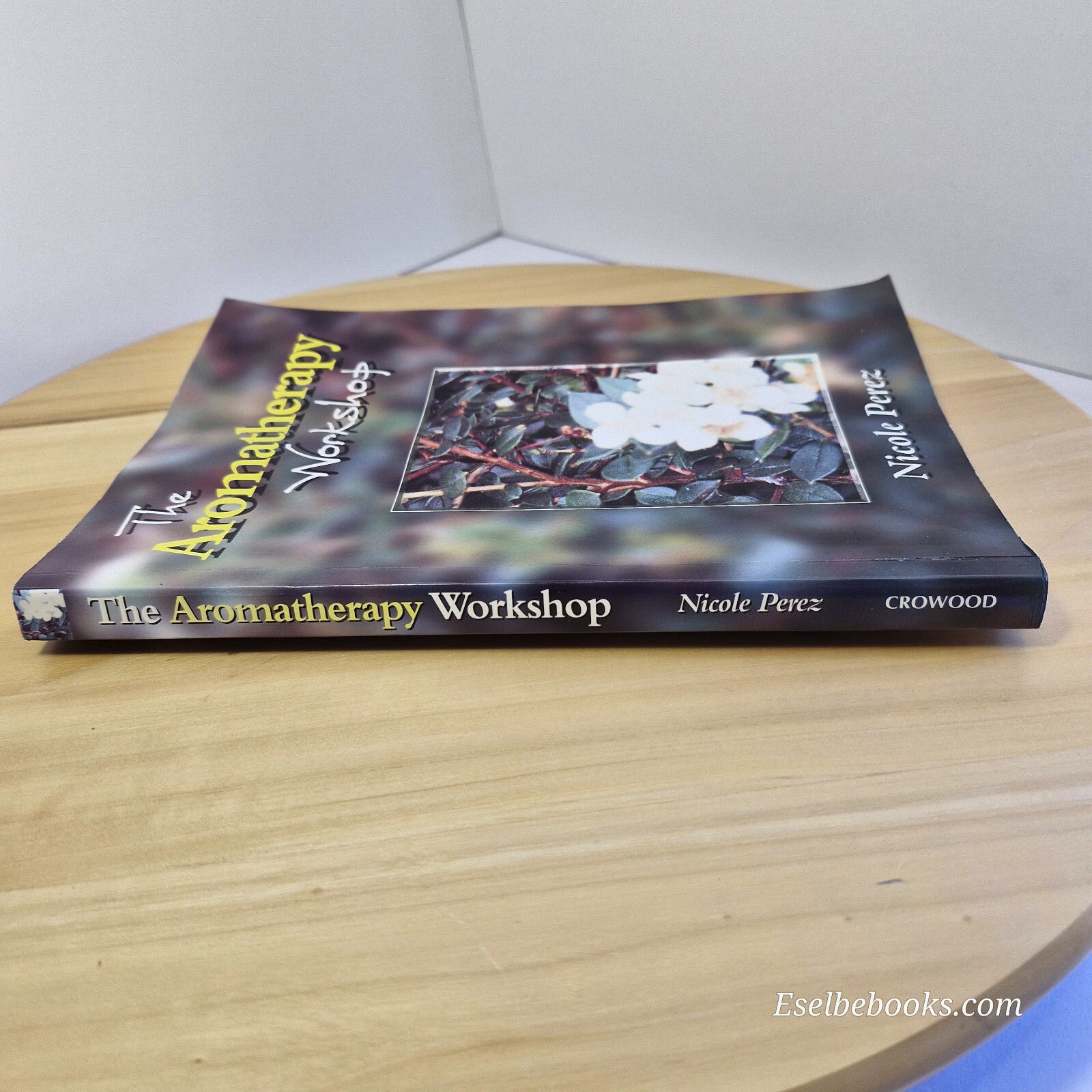 Health:  The Aromatherapy Workshop Book by Nicole Perez - paperback