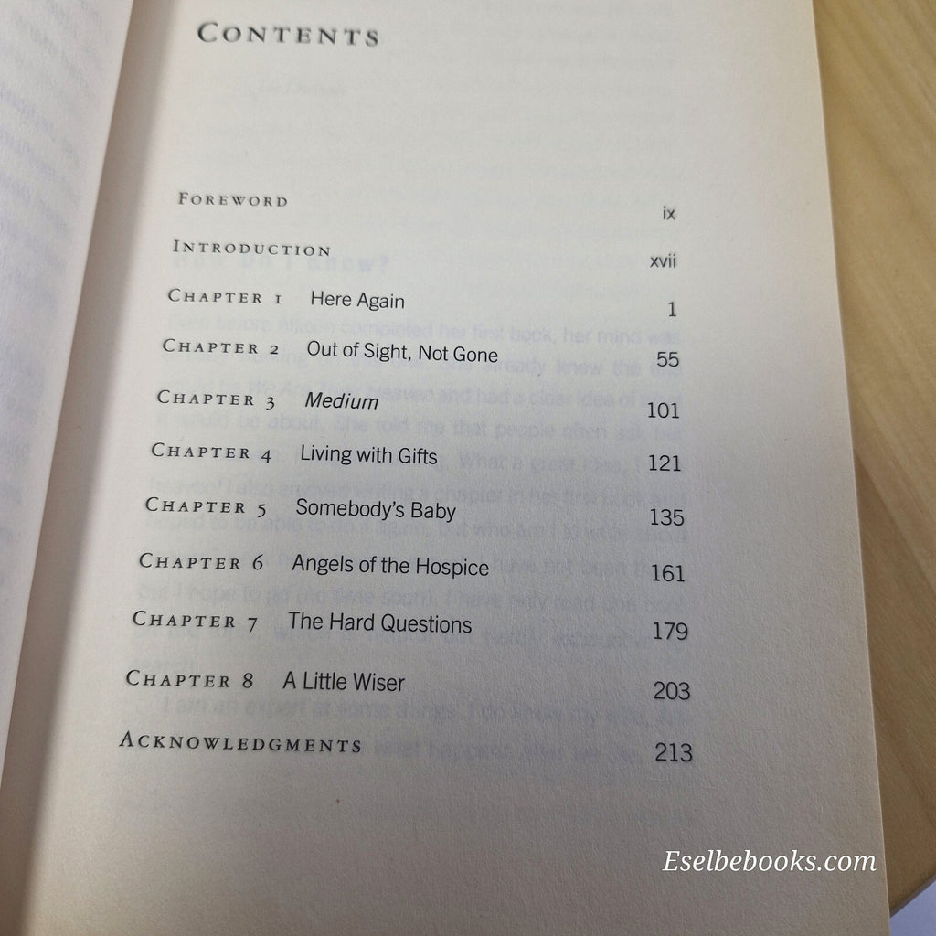 We are their heaven - why the dead never leave us by Allison DuBois - paperback