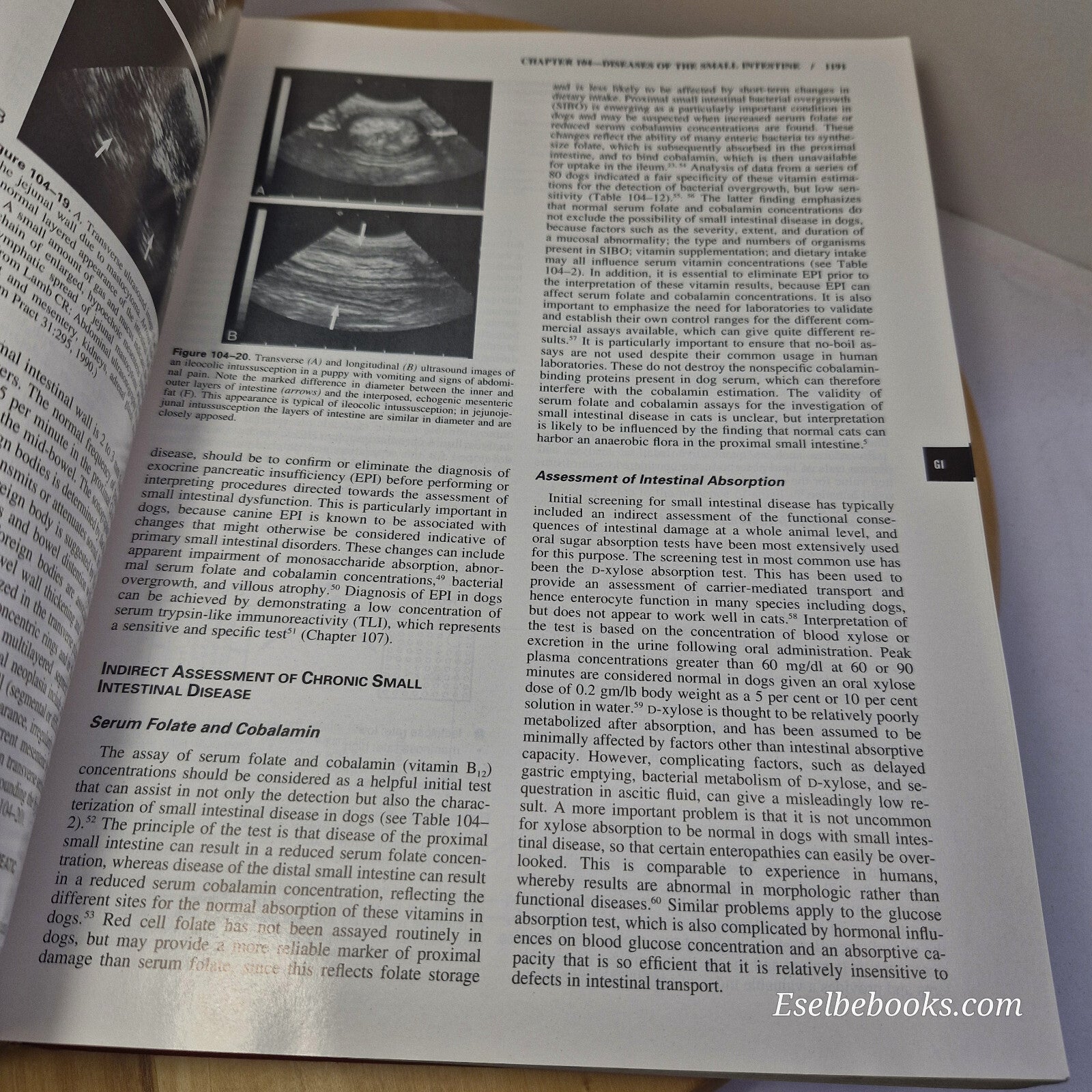 Textbook of Veterinary Internal Medicine Volume 1 & 2 Fourth edition by Ettin...