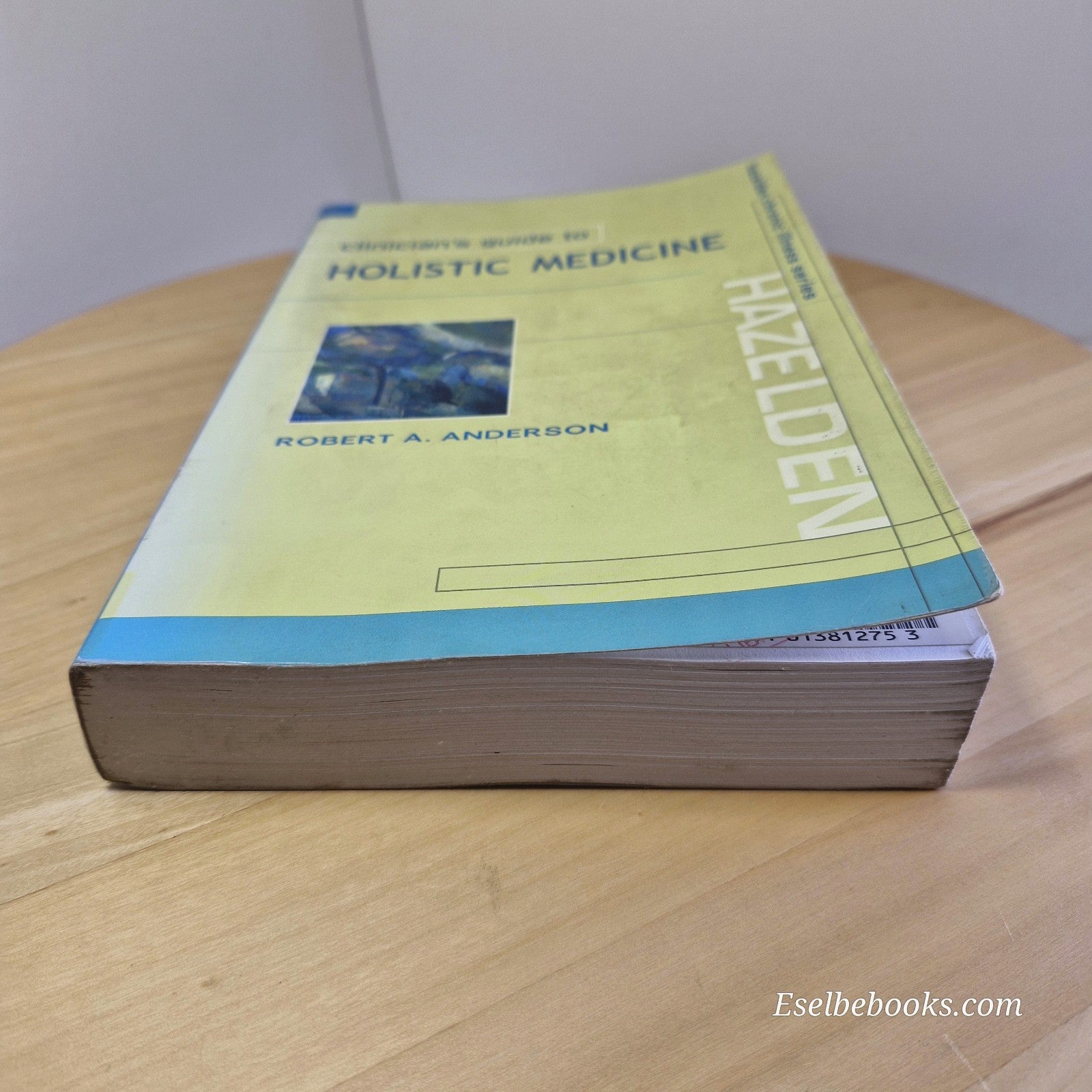 Clinician's Guide to Holistic Medicine By Robert A Anderson · 2001 - paperback