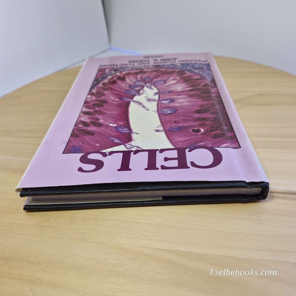 Cells Amazing Forms and Functions By John K. Young · 1990 - hardback with dj