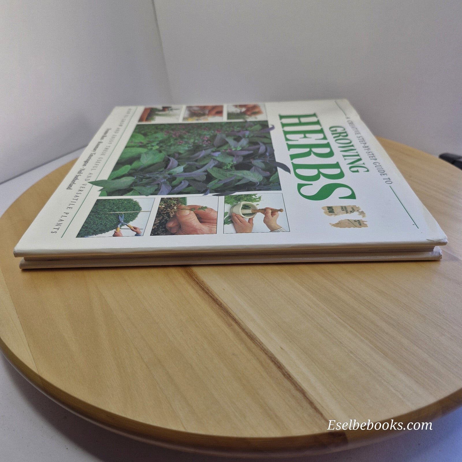 A Creative Step-by-step Guide to Growing Herbs By Yvonne Rees, Rosemary Titte...