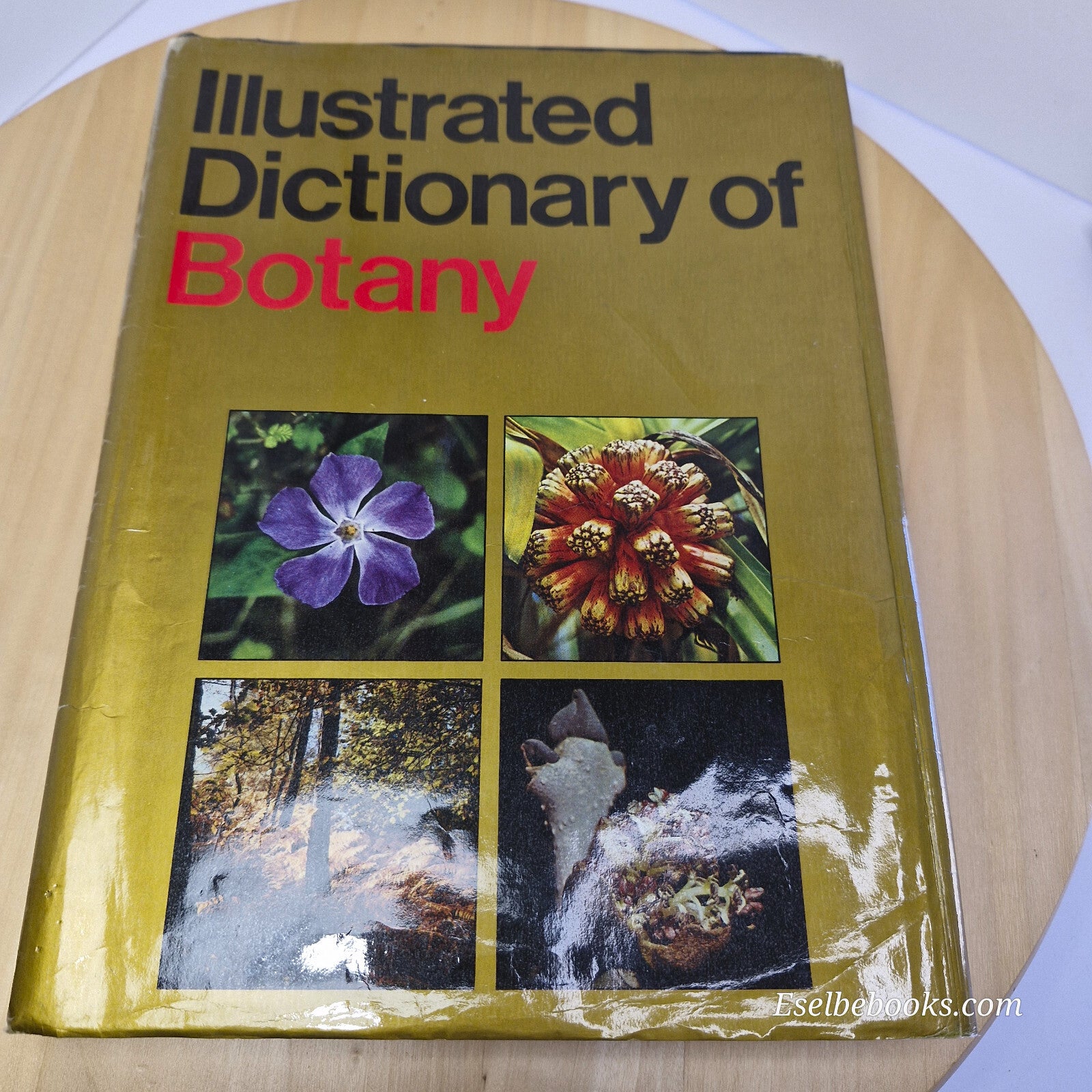 Various gardening guide books - buy 2 or more for discount - updated Feb 2025