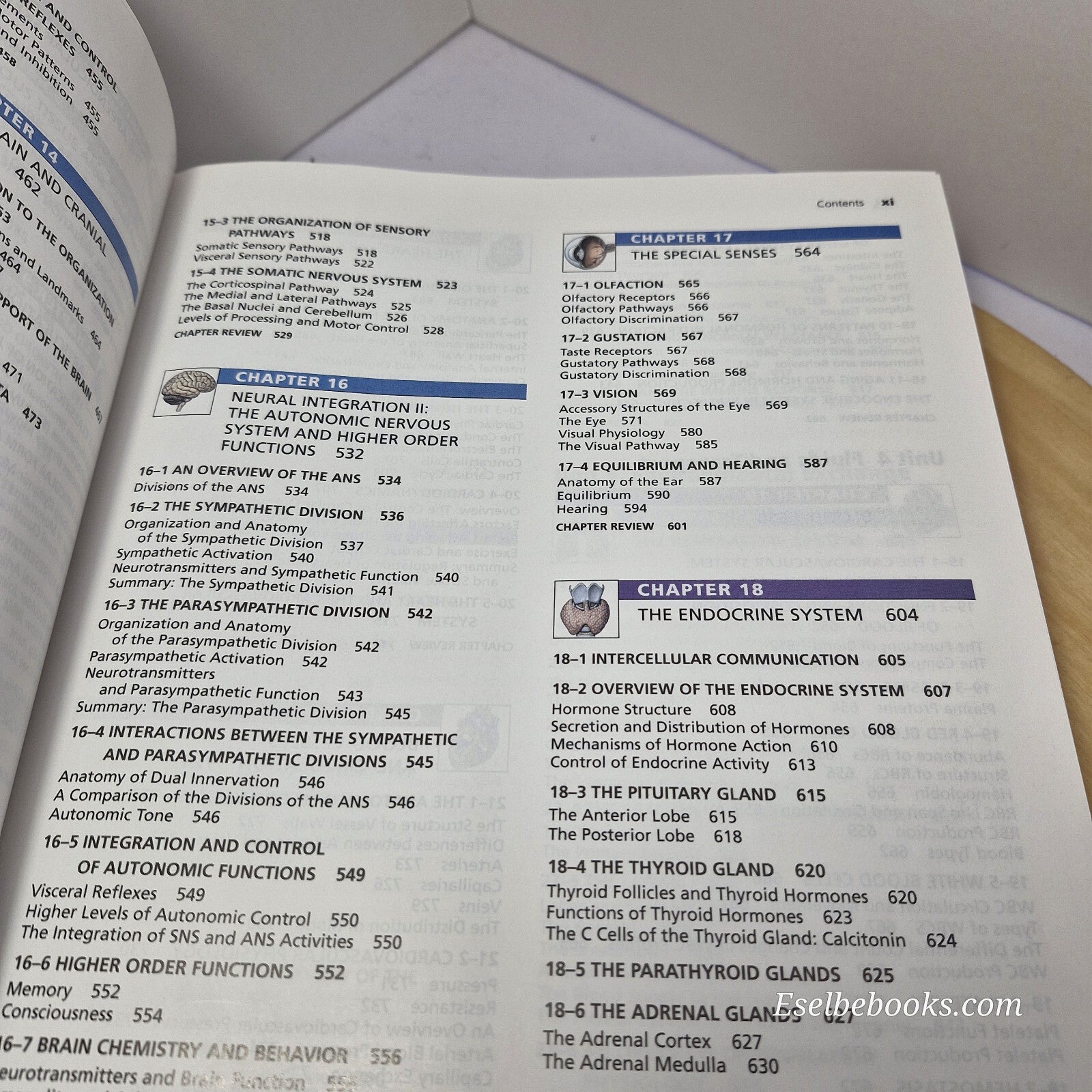 Fundamentals of anatomy & physiology By Frederic Martini - hardback