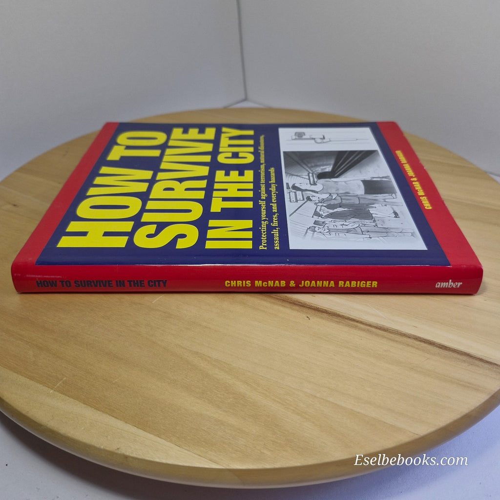 How to Survive in the City: Protecting yourself - paperback