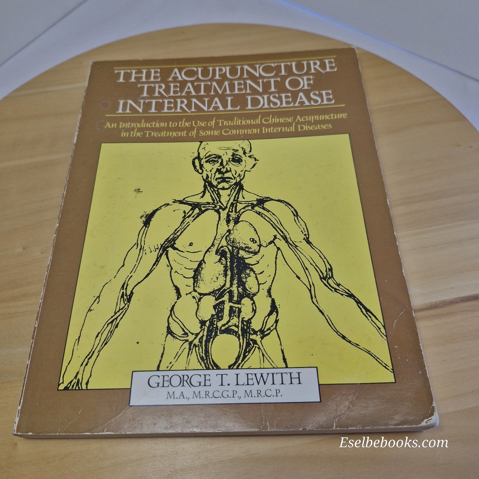 The Acupuncture Treatment of Internal Disease by George T Lewith - paperback