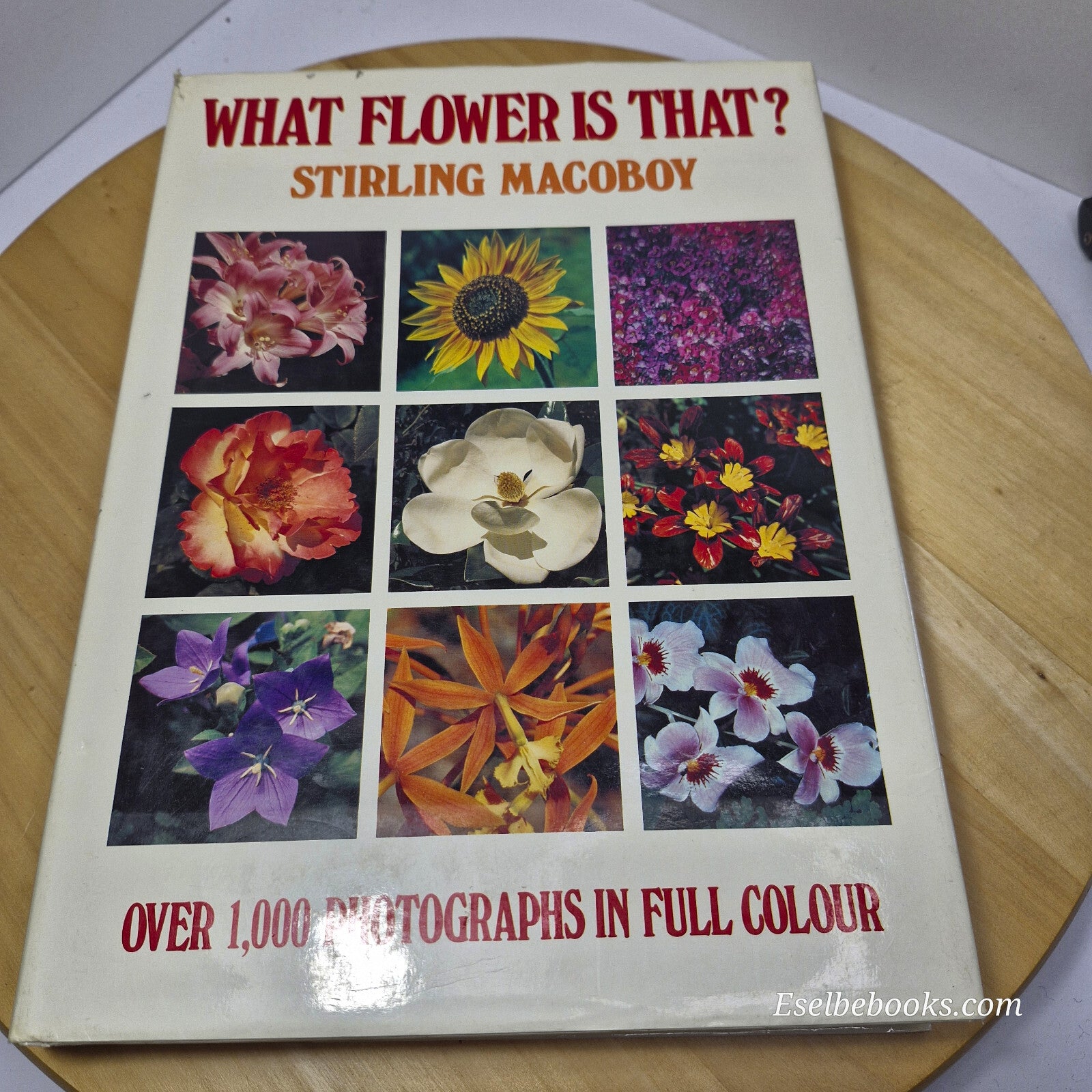 Australian flora: What Flower is That? By Stirling Macoboy · 1980