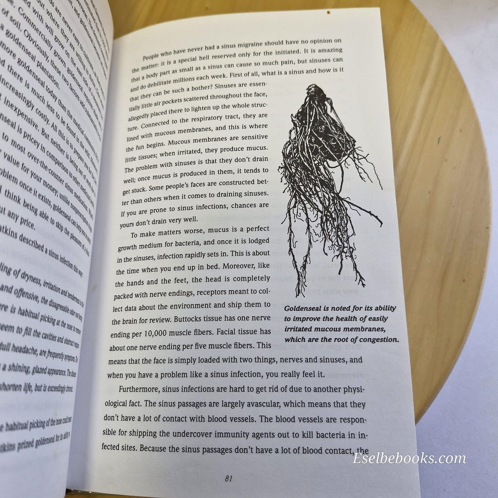 The Backyard Medicine Chest An Herbal Primer By Douglas Schar · 1995