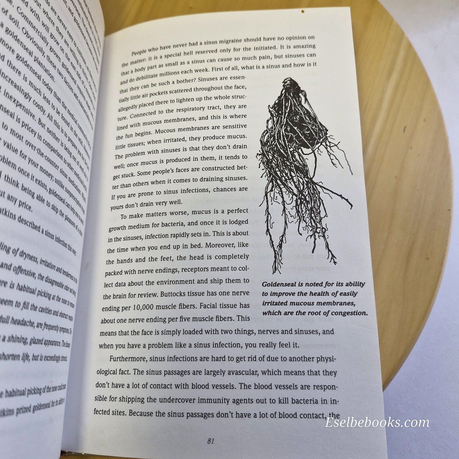 The Backyard Medicine Chest An Herbal Primer By Douglas Schar · 1995