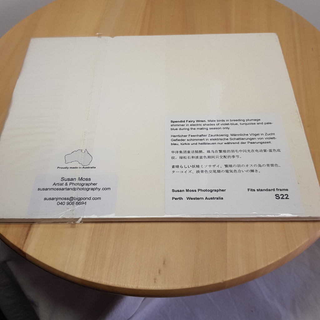 Susan Moss photography - 2 bird photos - Blue wren/Scarlet wren