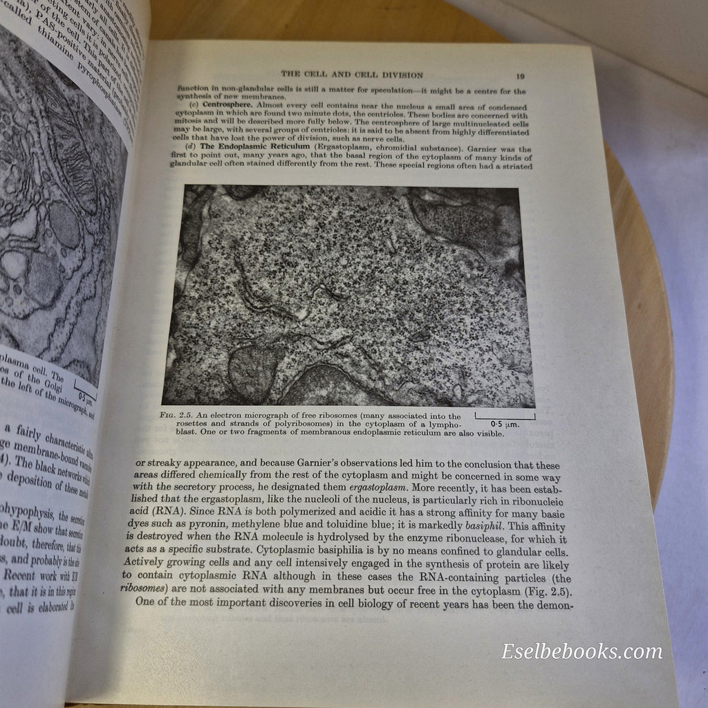Hewer's Textbook of Histology for Medical Students 9th ed by Bradbury - harback