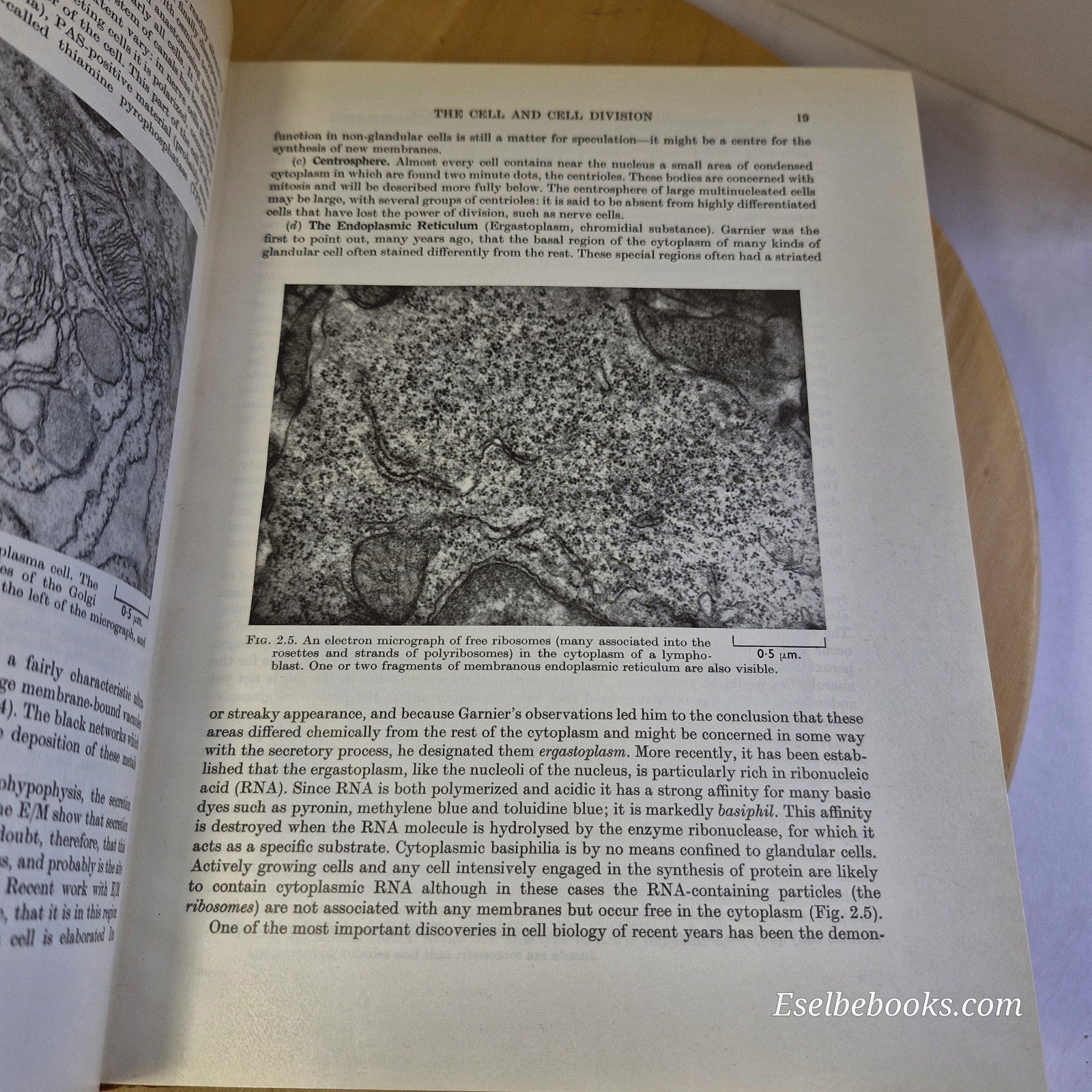 Hewer's Textbook of Histology for Medical Students 9th ed by Bradbury - harback