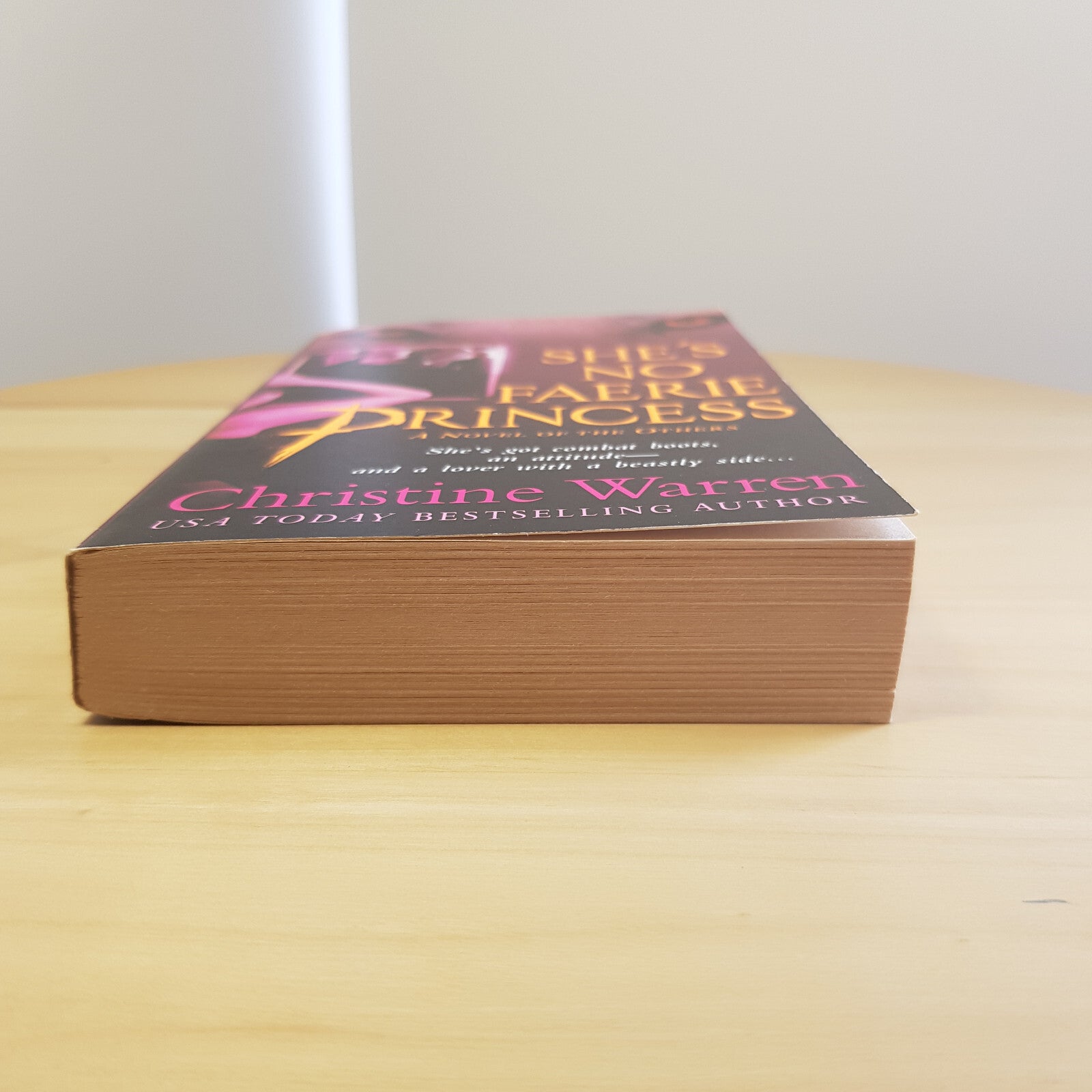 Fantasy fiction: She's No Faerie Princess A Novel of the Others By Christine ...