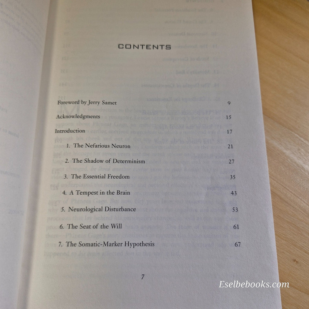 My Brain Made Me Do It by Eliezer J. Sternberg - paperback
