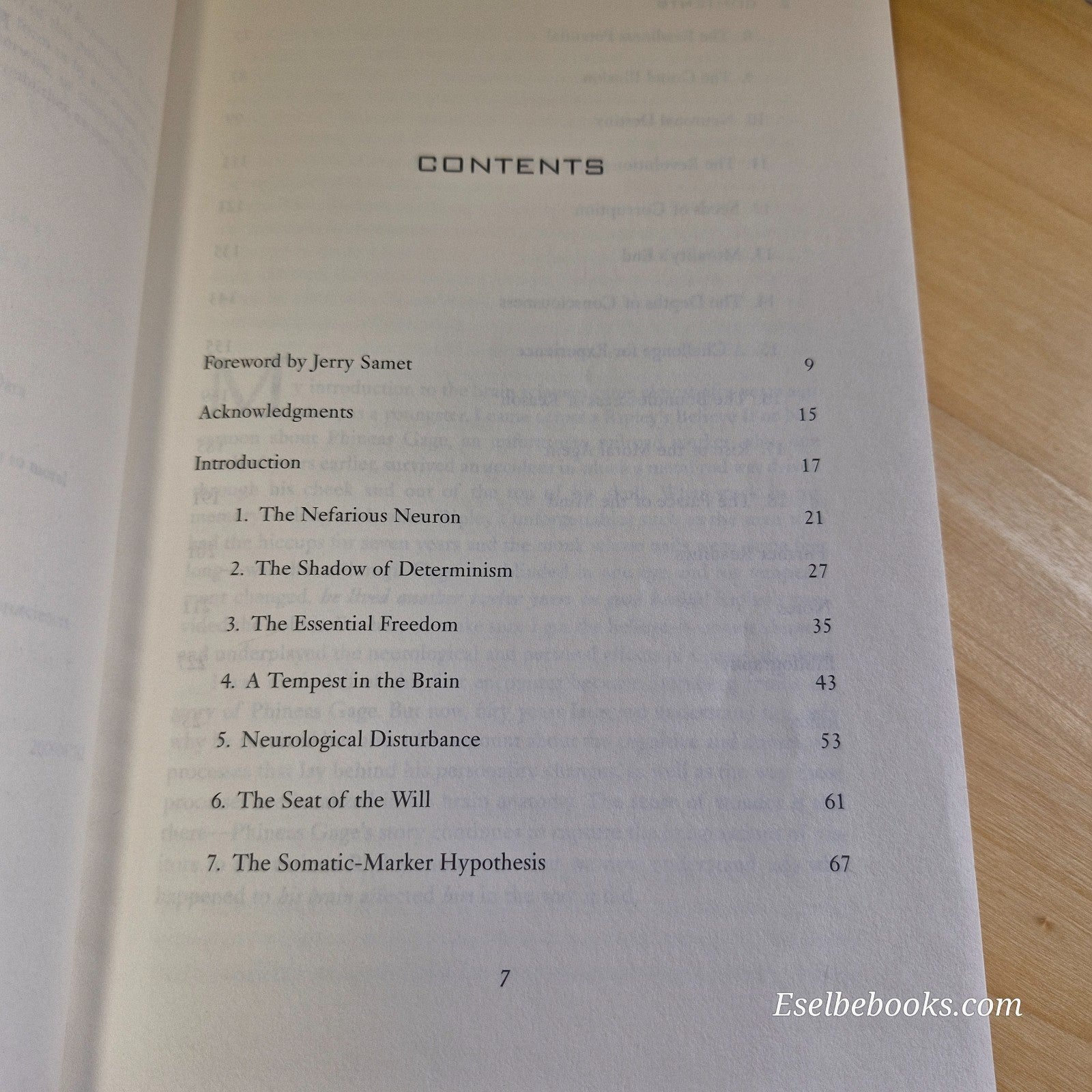 My Brain Made Me Do It by Eliezer J. Sternberg - paperback