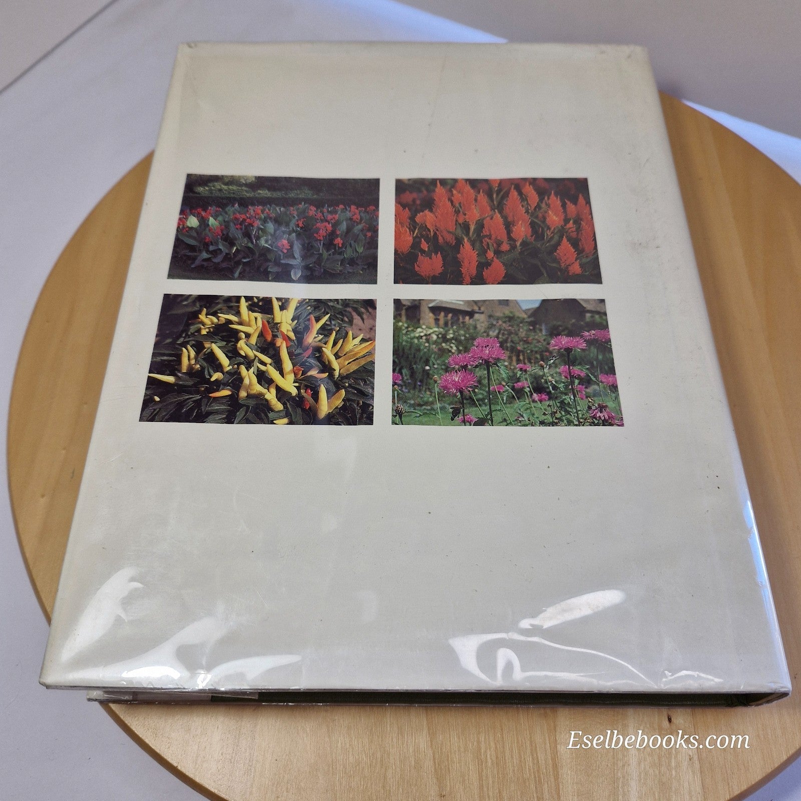 Manual of Herbaceous Ornamental Plants By Steven M. Still - large hardback