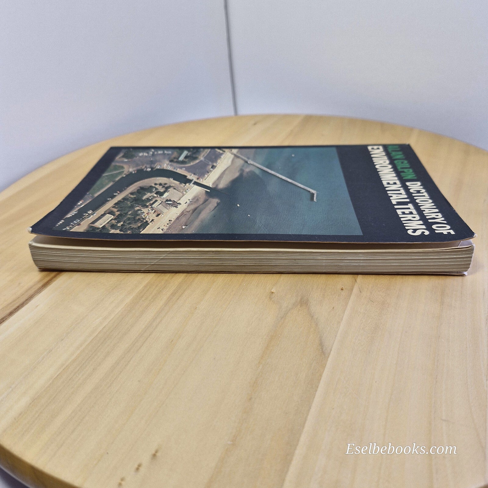 Dictionary of Environmental Terms By Alan Gilpin · 1978 - vintage paperback