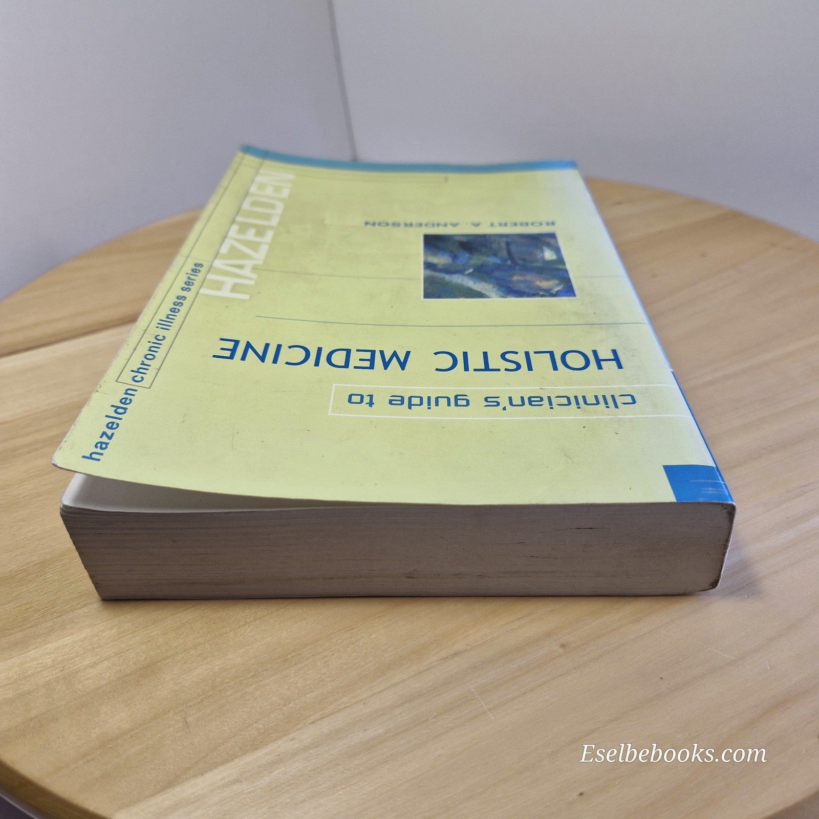 Clinician's Guide to Holistic Medicine By Robert A Anderson · 2001 - paperback