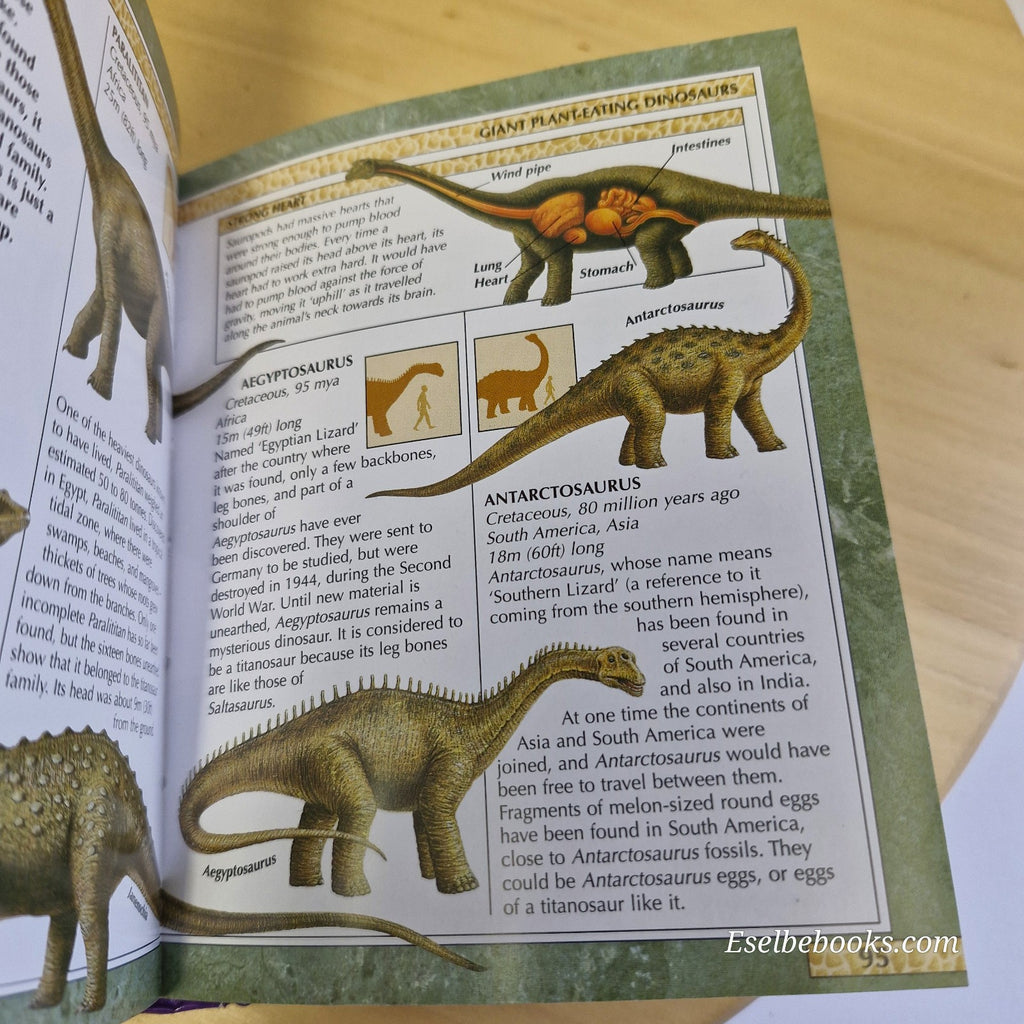 Mini Children's Reference: Encyclopedia of dinosaurs - hardback