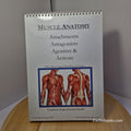Muscle anatomy - attachments antagonists agonists & actions table top flip chart