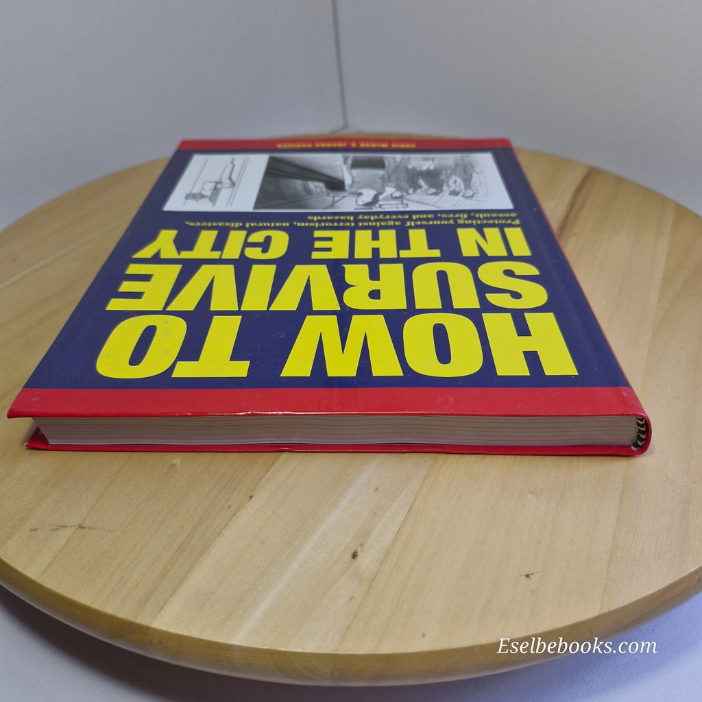 How to Survive in the City: Protecting yourself - paperback