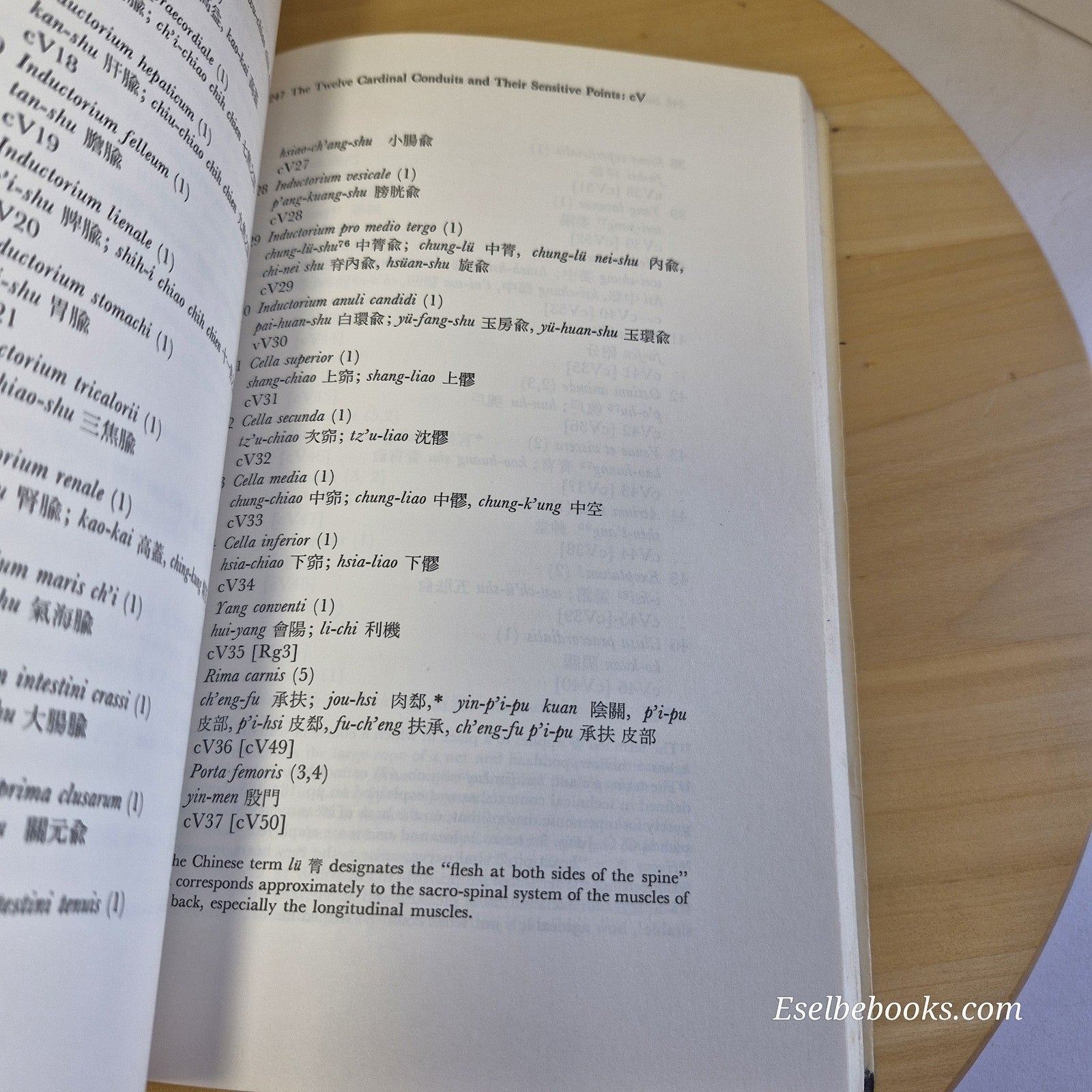 The Theoretical Foundations of Chinese Medicine : Systems of correspondence