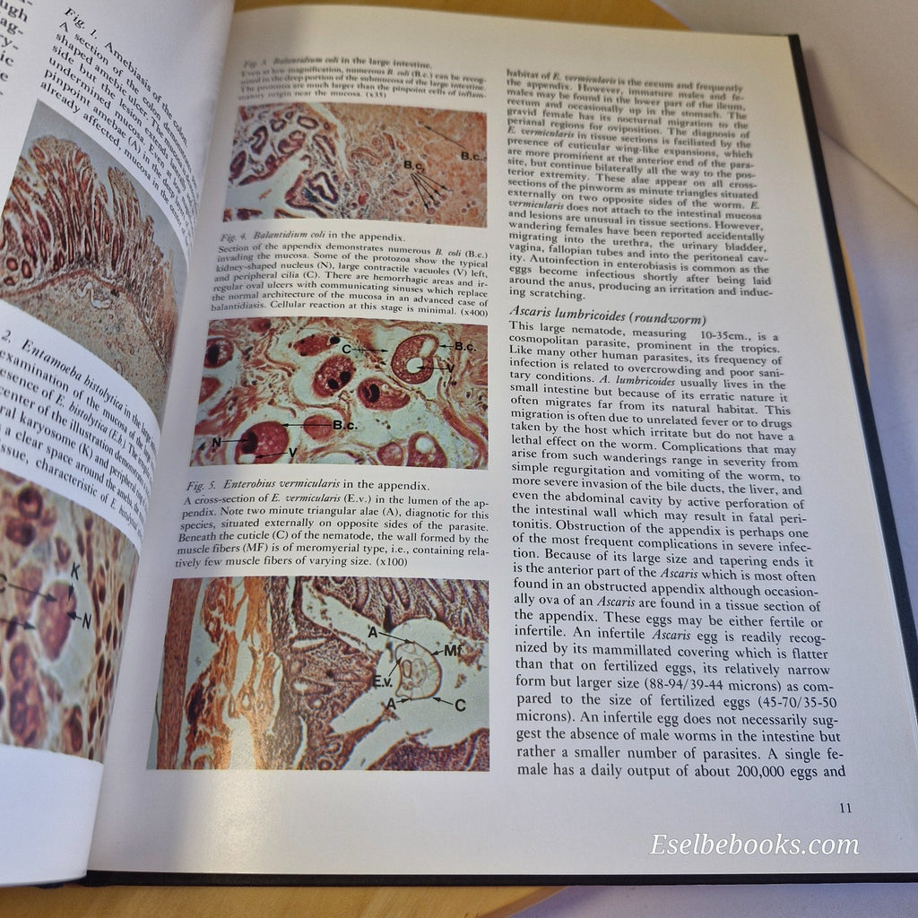 Scope Monograph on Pathoparasitology A Color Atlas by Michael Kenney - hardback